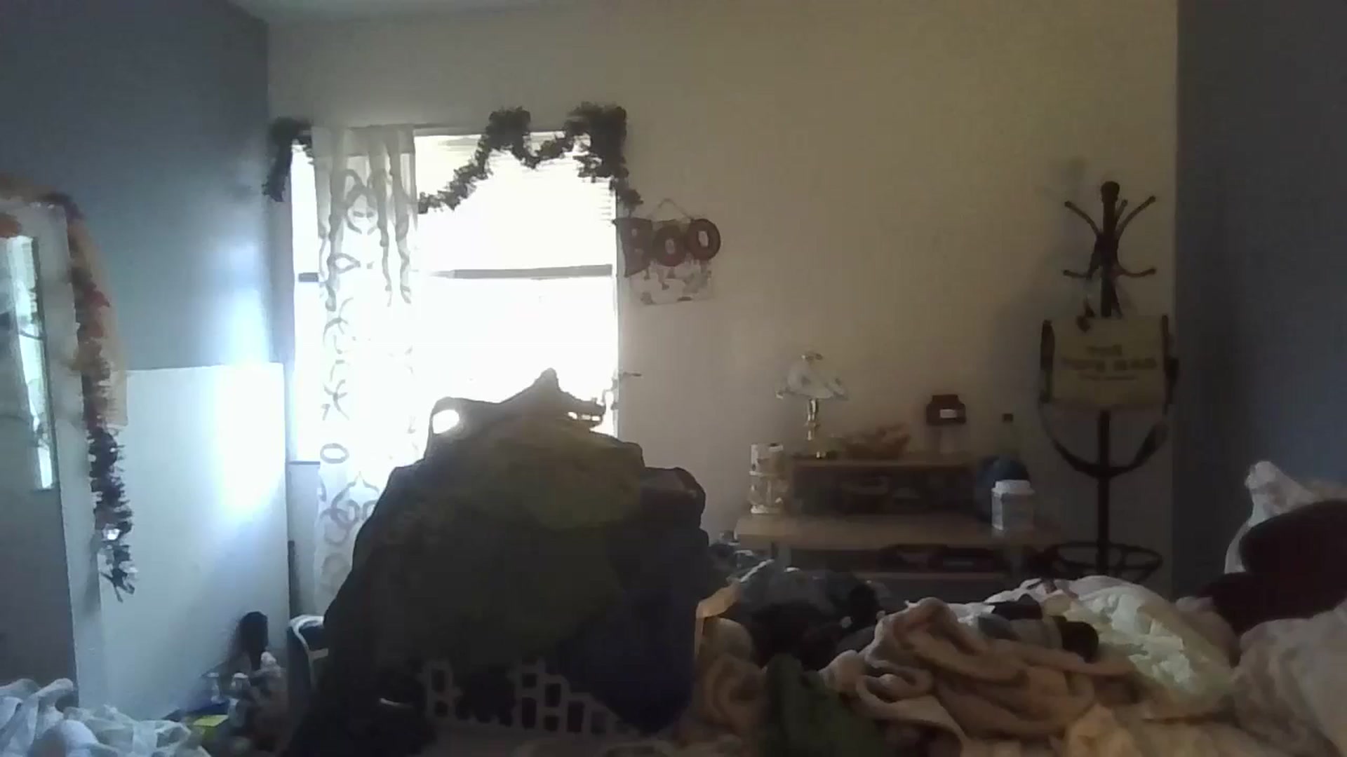 Gallery image thumbnail from Abc123456789's myfreecams stream on, 10/22/2023, 18:00 image 9 of 20