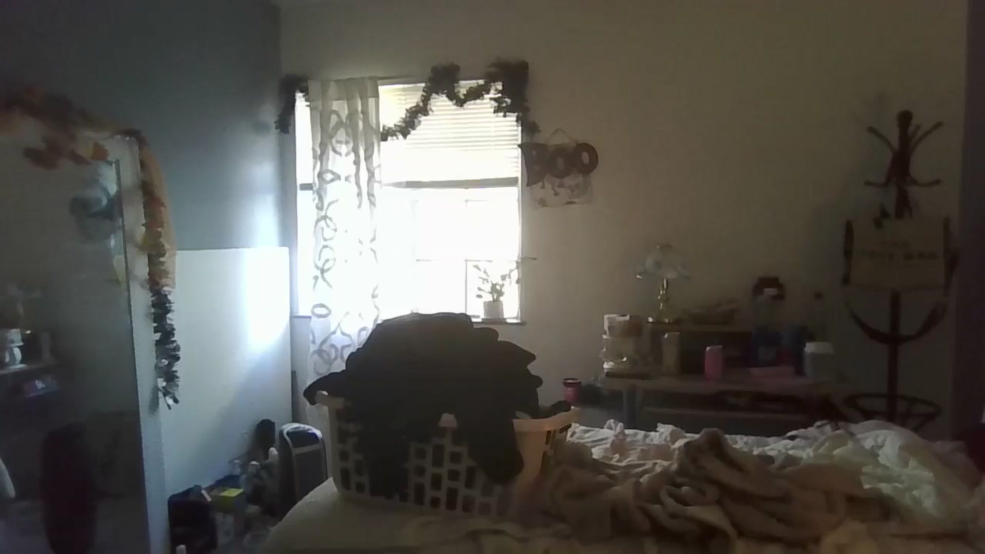Gallery image thumbnail from Abc123456789's myfreecams stream on, 10/22/2023, 18:00 image 5 of 20