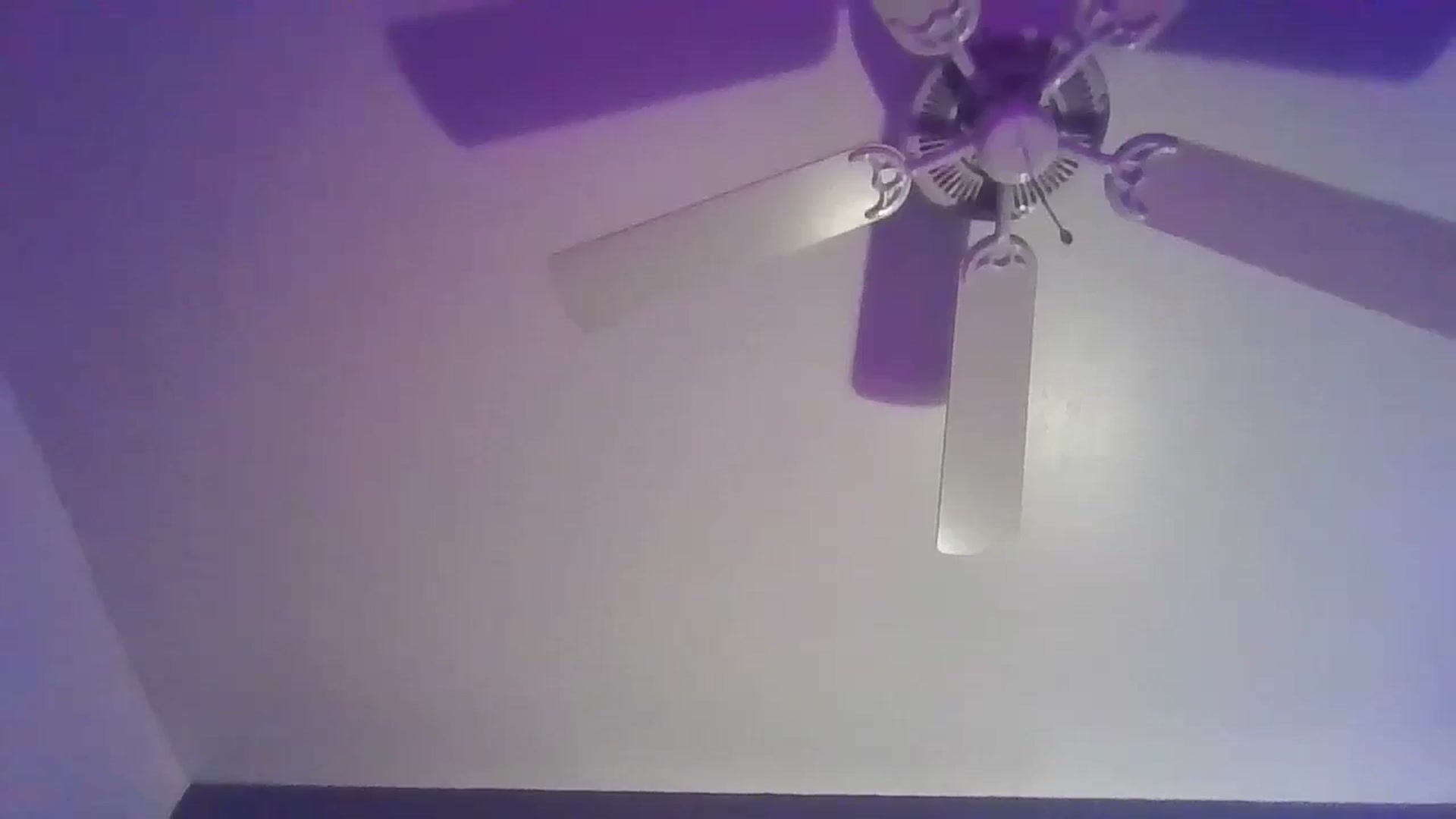 Gallery image thumbnail from Abc123456789's myfreecams stream on, 10/30/2023, 03:23 image 18 of 20