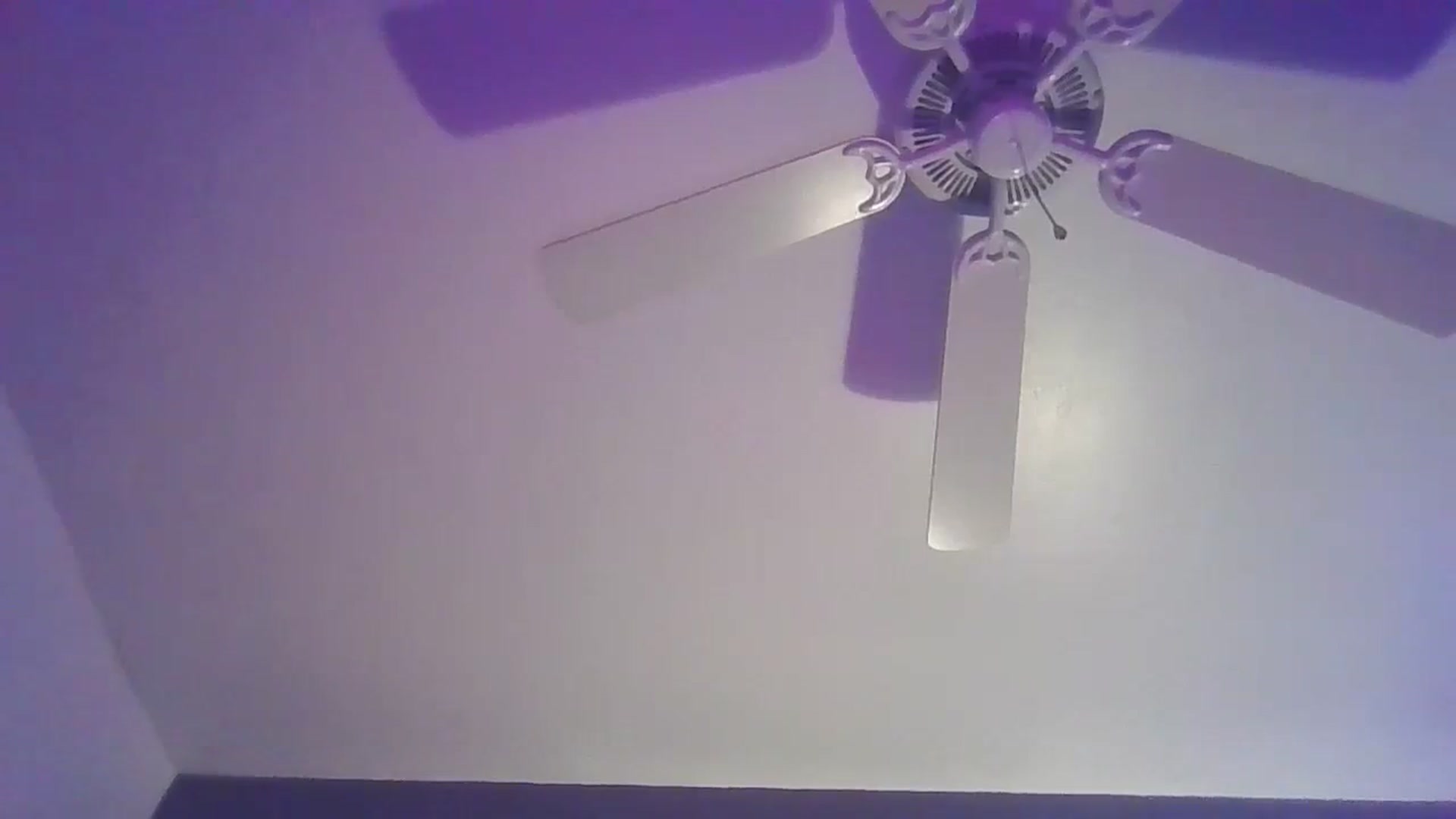 Gallery image thumbnail from Abc123456789's myfreecams stream on, 10/30/2023, 03:23 image 19 of 20
