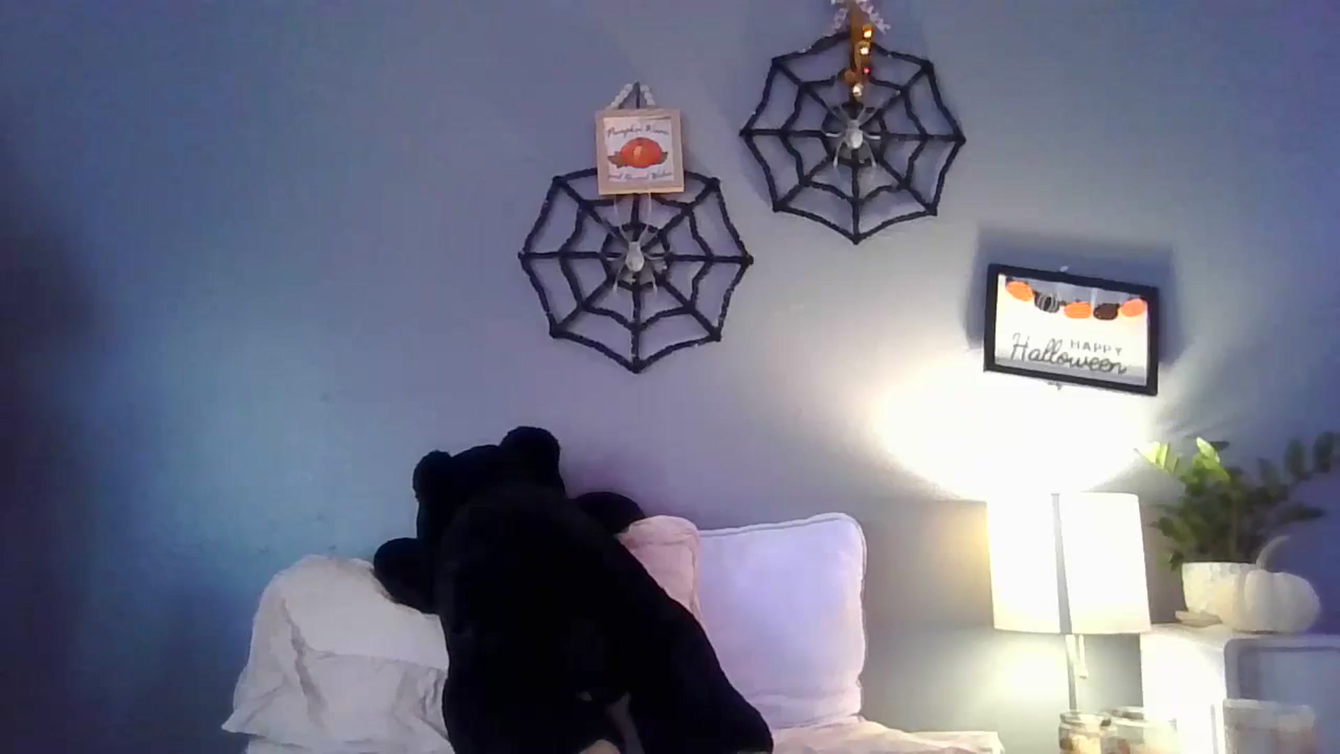 Gallery image thumbnail from Abc123456789's myfreecams stream on, 10/31/2023, 19:11 image 11 of 20