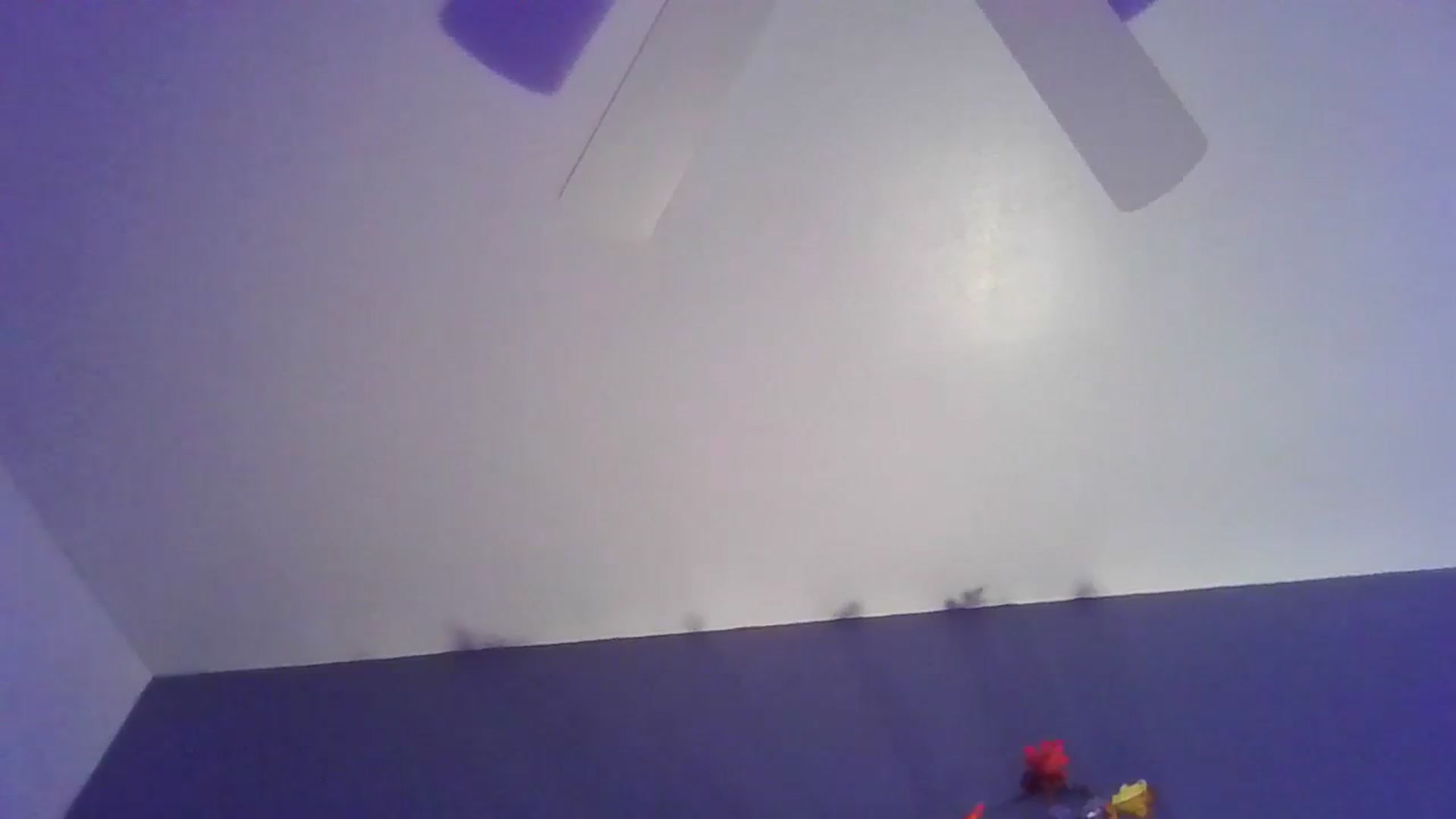 Gallery image thumbnail from Abc123456789's myfreecams stream on, 11/05/2023, 12:49 image 17 of 20