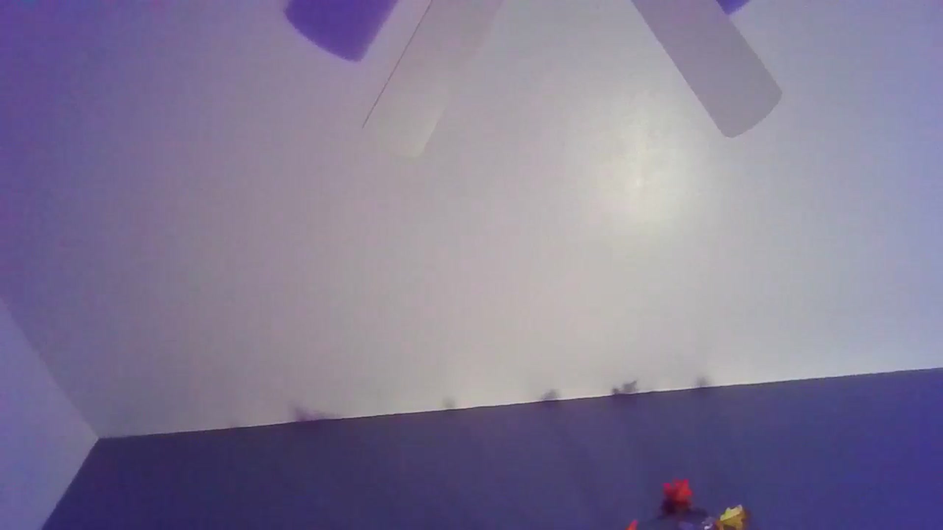 Gallery image thumbnail from Abc123456789's myfreecams stream on, 11/05/2023, 12:49 image 18 of 20
