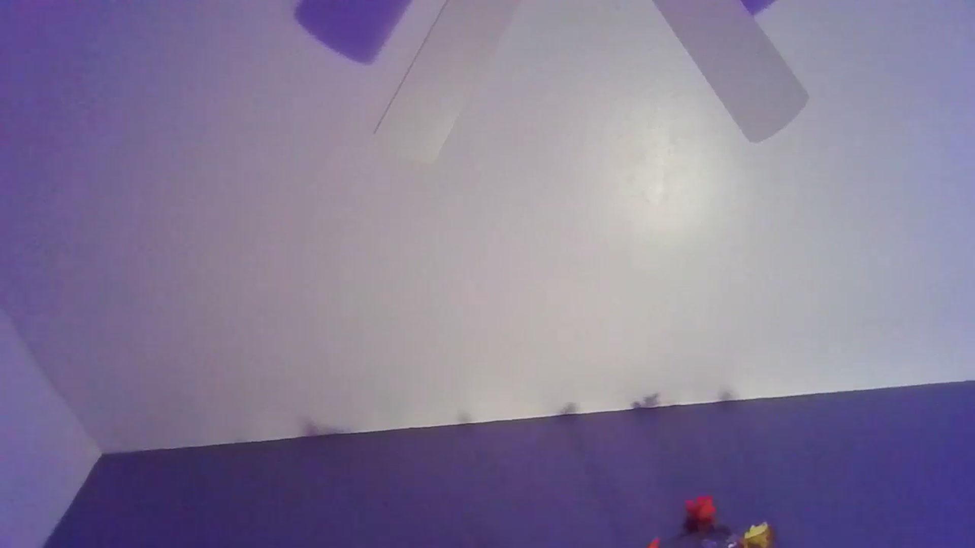 Gallery image thumbnail from Abc123456789's myfreecams stream on, 11/05/2023, 12:49 image 19 of 20