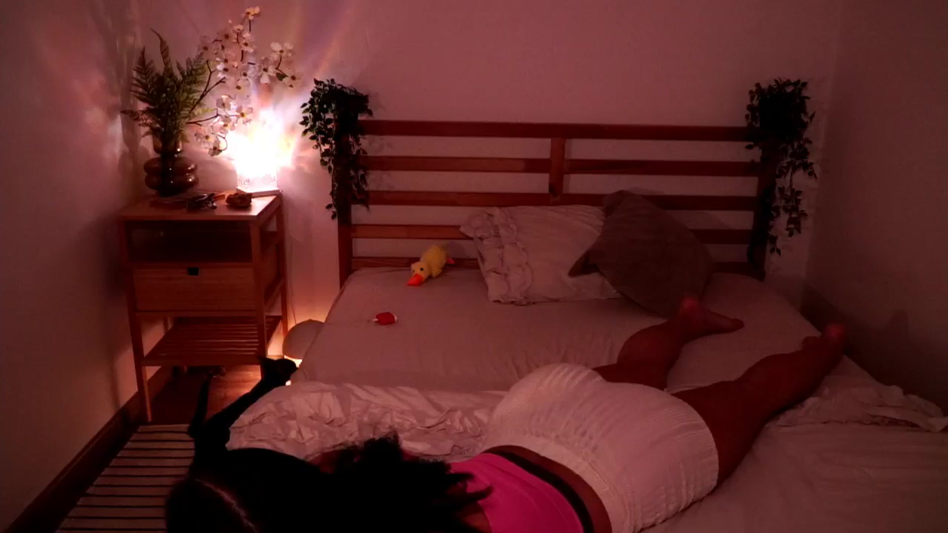 Gallery image thumbnail from Abiee_'s myfreecams stream on, 02/16/2026, 15:56 image 18 of 20