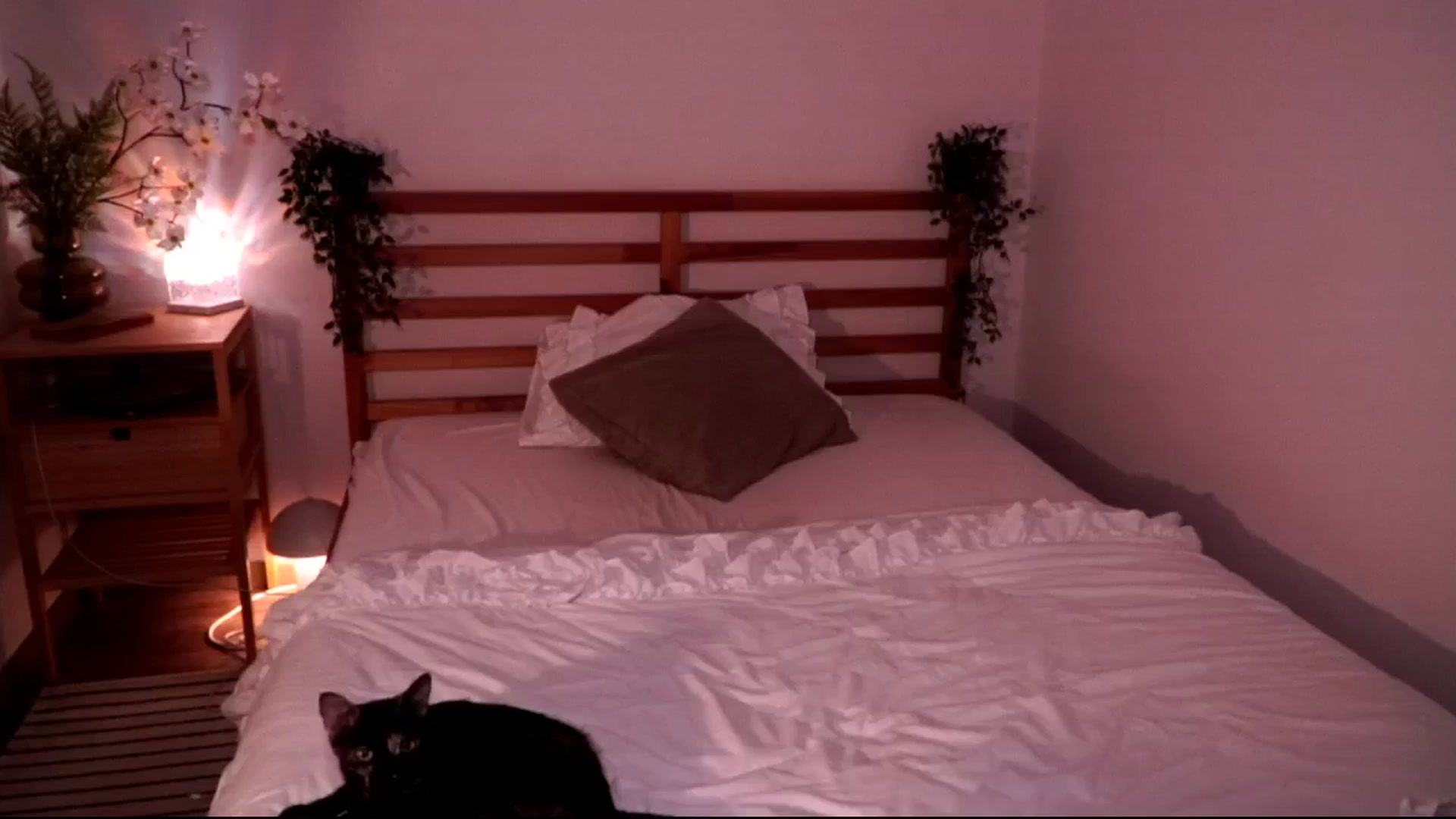 Gallery image thumbnail from Abiee_'s myfreecams stream on, 04/29/2026, 14:59 image 14 of 20