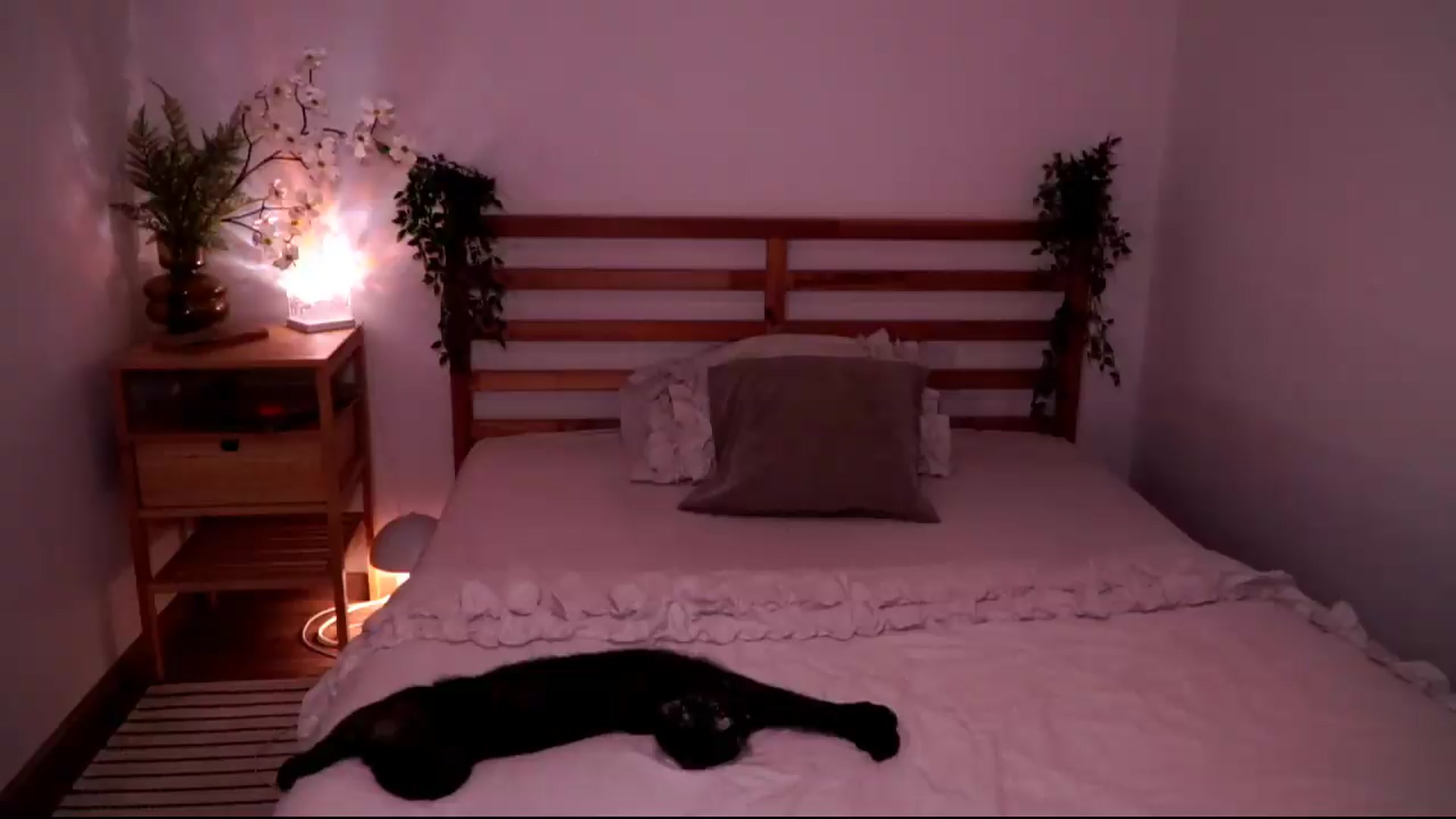 Gallery image thumbnail from Abiee_'s myfreecams stream on, 05/16/2026, 17:00 image 4 of 20