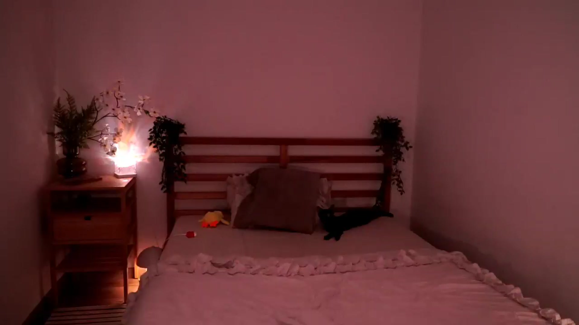 Gallery image thumbnail from Abiee_'s myfreecams stream on, 06/30/2026, 14:58 image 16 of 20