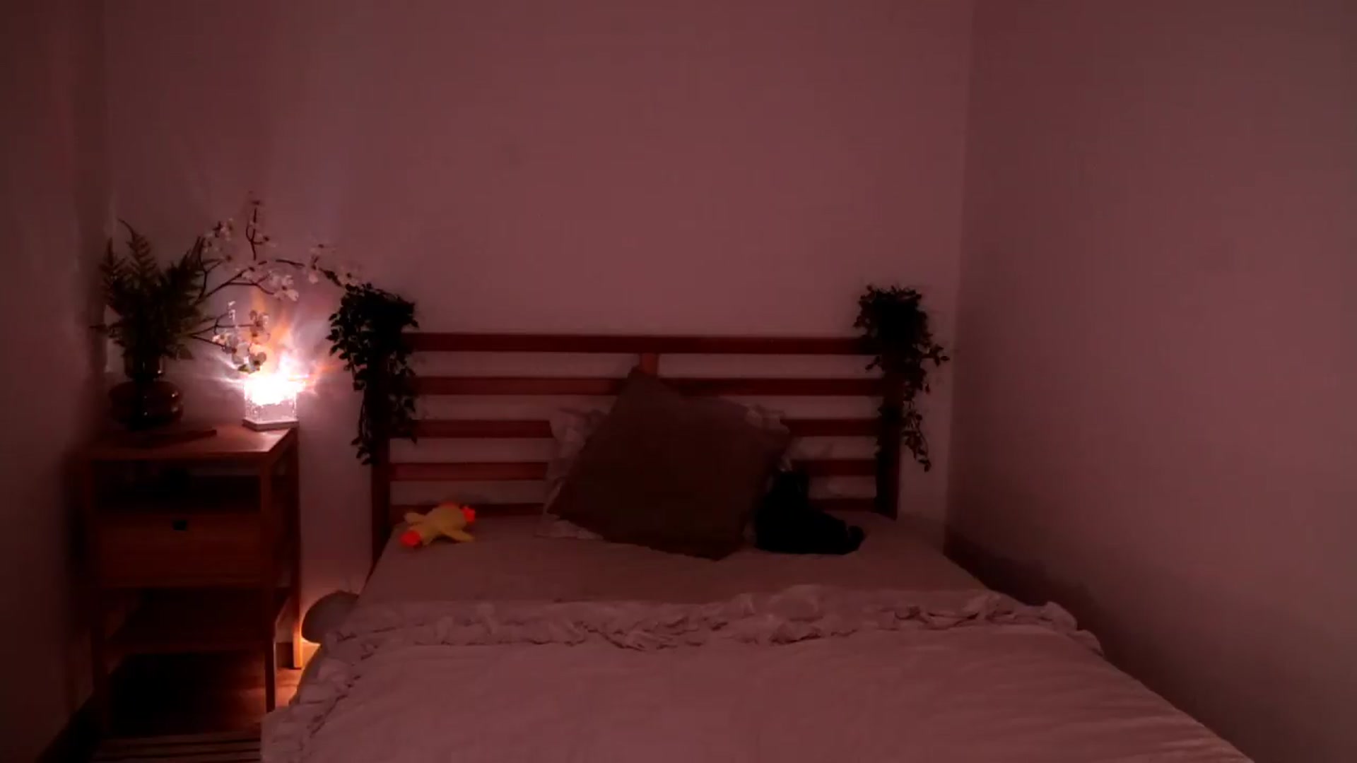 Gallery image thumbnail from Abiee_'s myfreecams stream on, 07/08/2026, 15:27 image 4 of 20