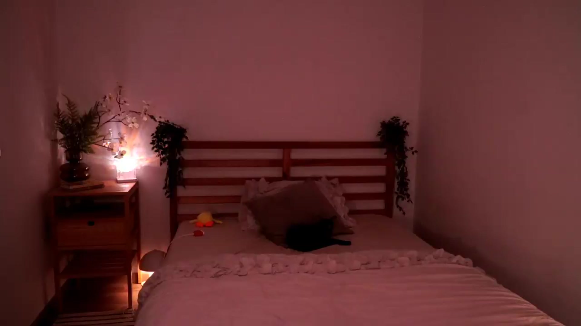 Gallery image thumbnail from Abiee_'s myfreecams stream on, 08/25/2026, 15:41 image 8 of 20