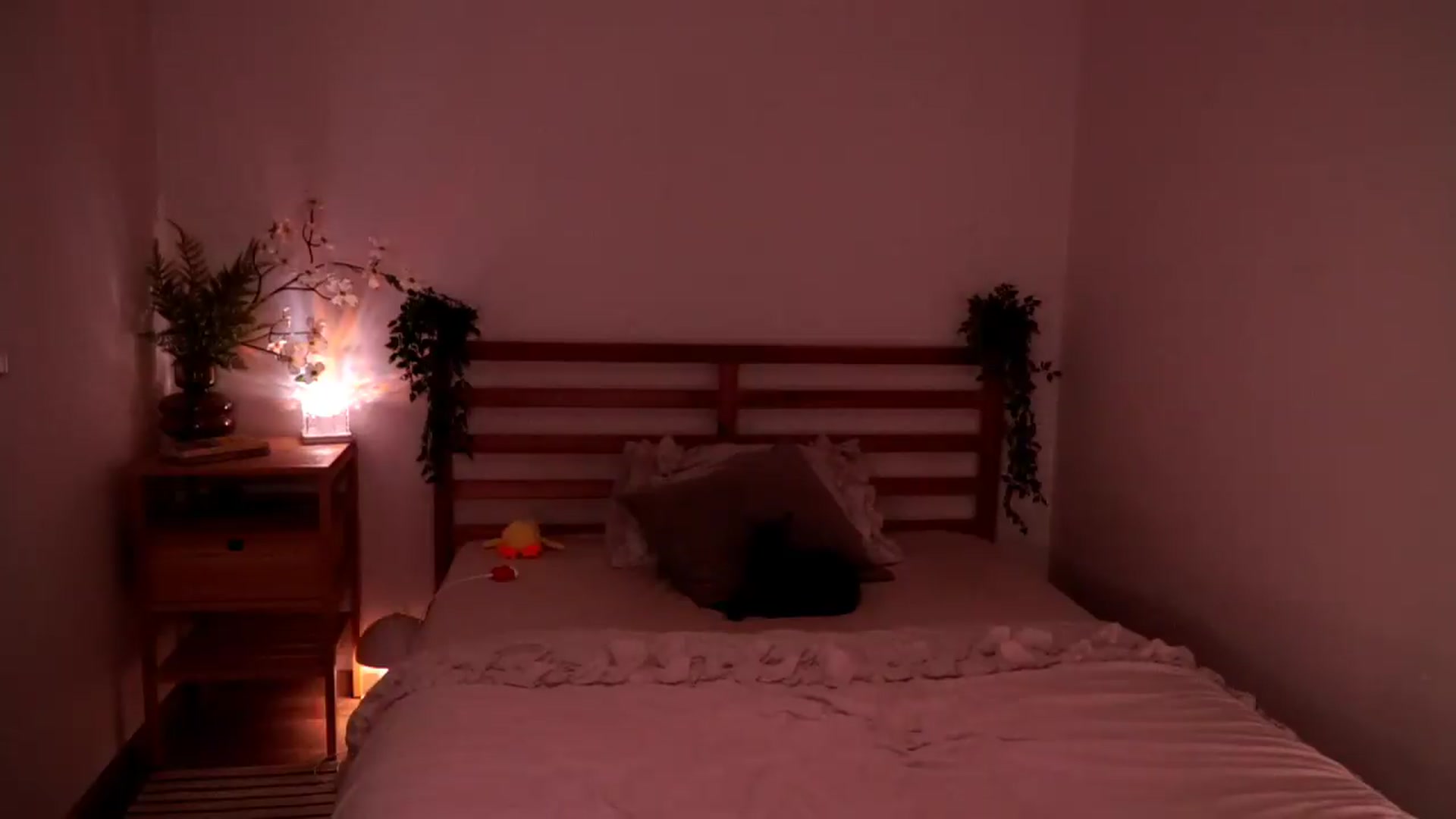 Gallery image thumbnail from Abiee_'s myfreecams stream on, 08/25/2026, 16:27 image 15 of 20