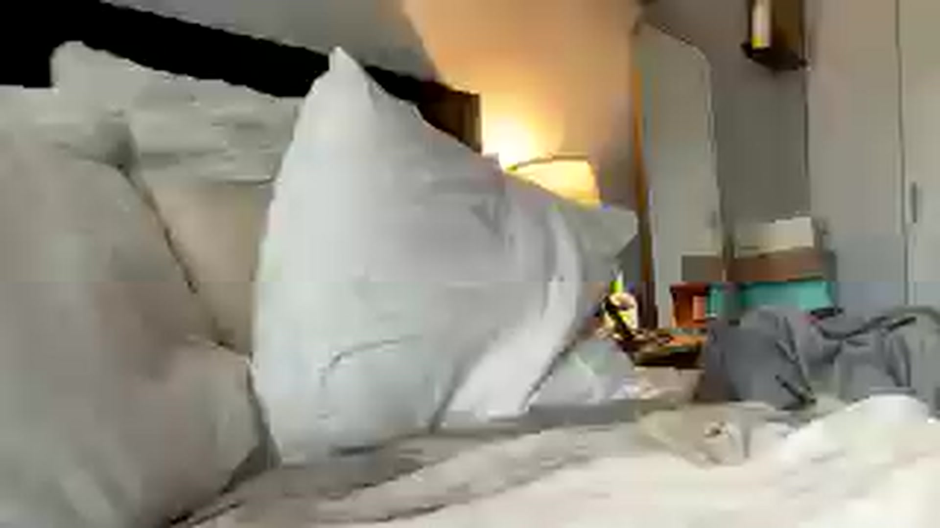 Gallery image thumbnail from AbigailGrubbs's myfreecams stream on, 08/12/2025, 12:20 image 5 of 20