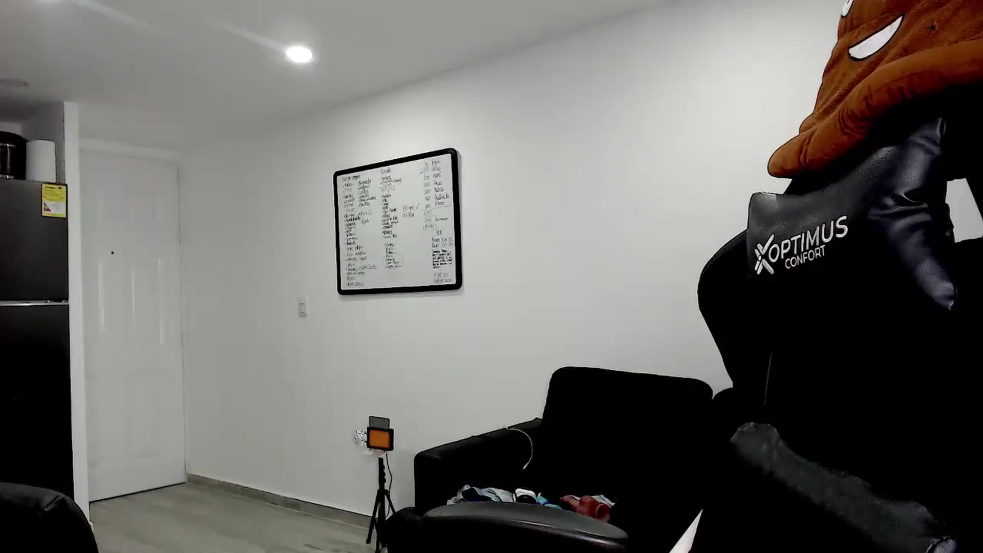 Gallery image thumbnail from Abigaill29's myfreecams stream on, 10/22/2025, 21:53 image 14 of 20