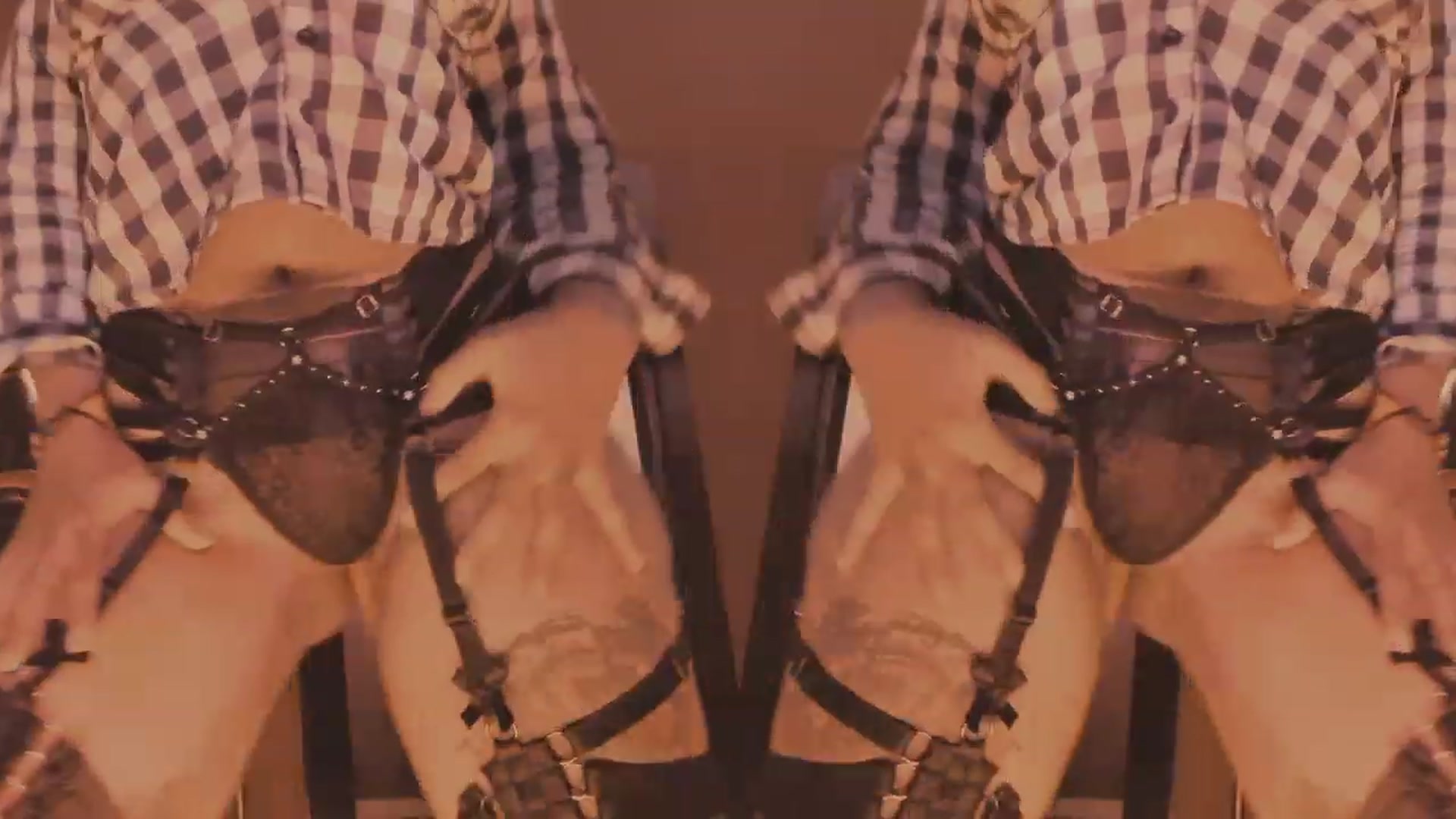 Gallery image thumbnail from AbraxxysRadio's myfreecams stream on, 10/14/2023, 01:22 image 13 of 20
