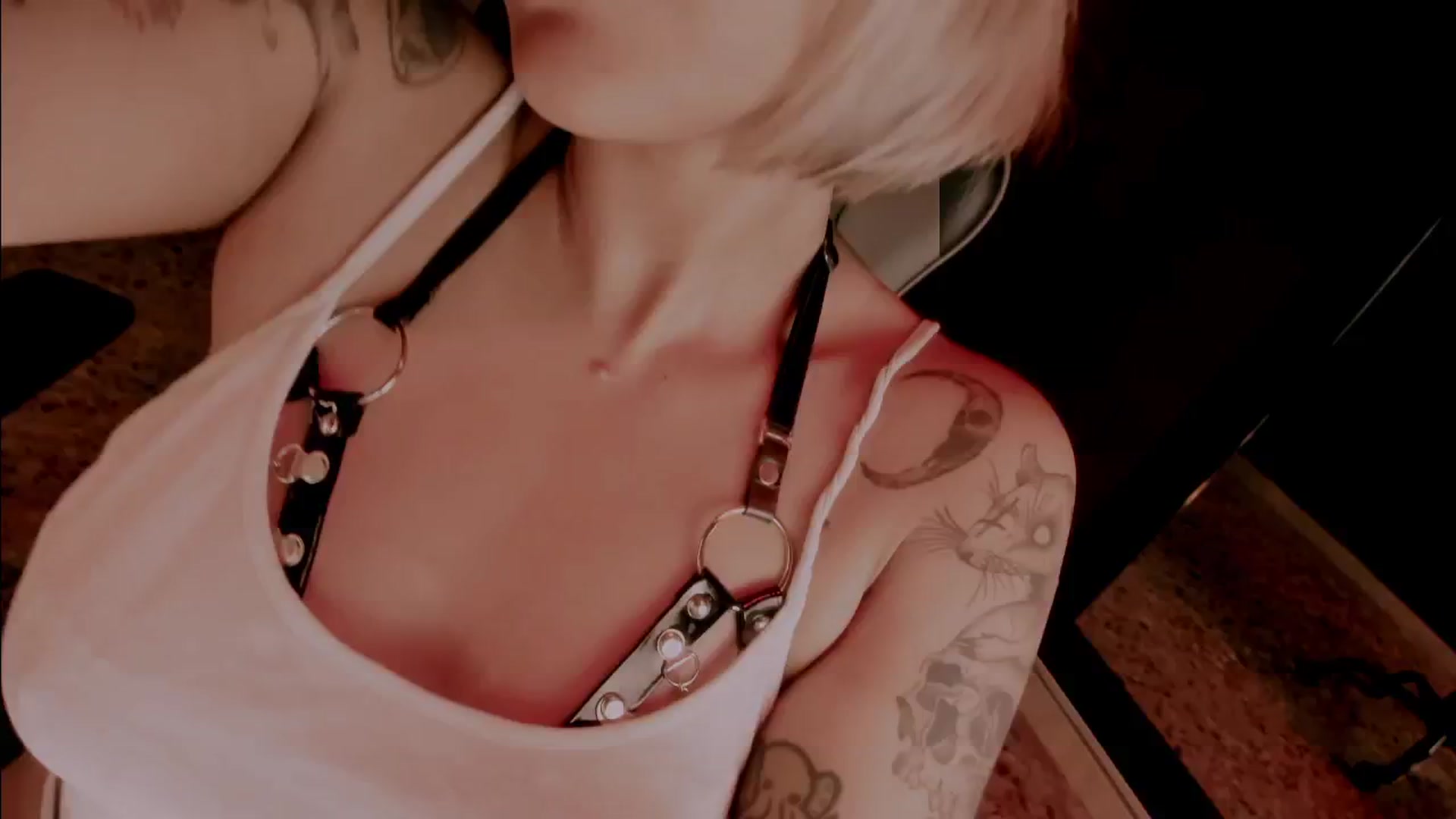 Gallery image thumbnail from AbraxxysRadio's myfreecams stream on, 09/05/2024, 01:59 image 15 of 20