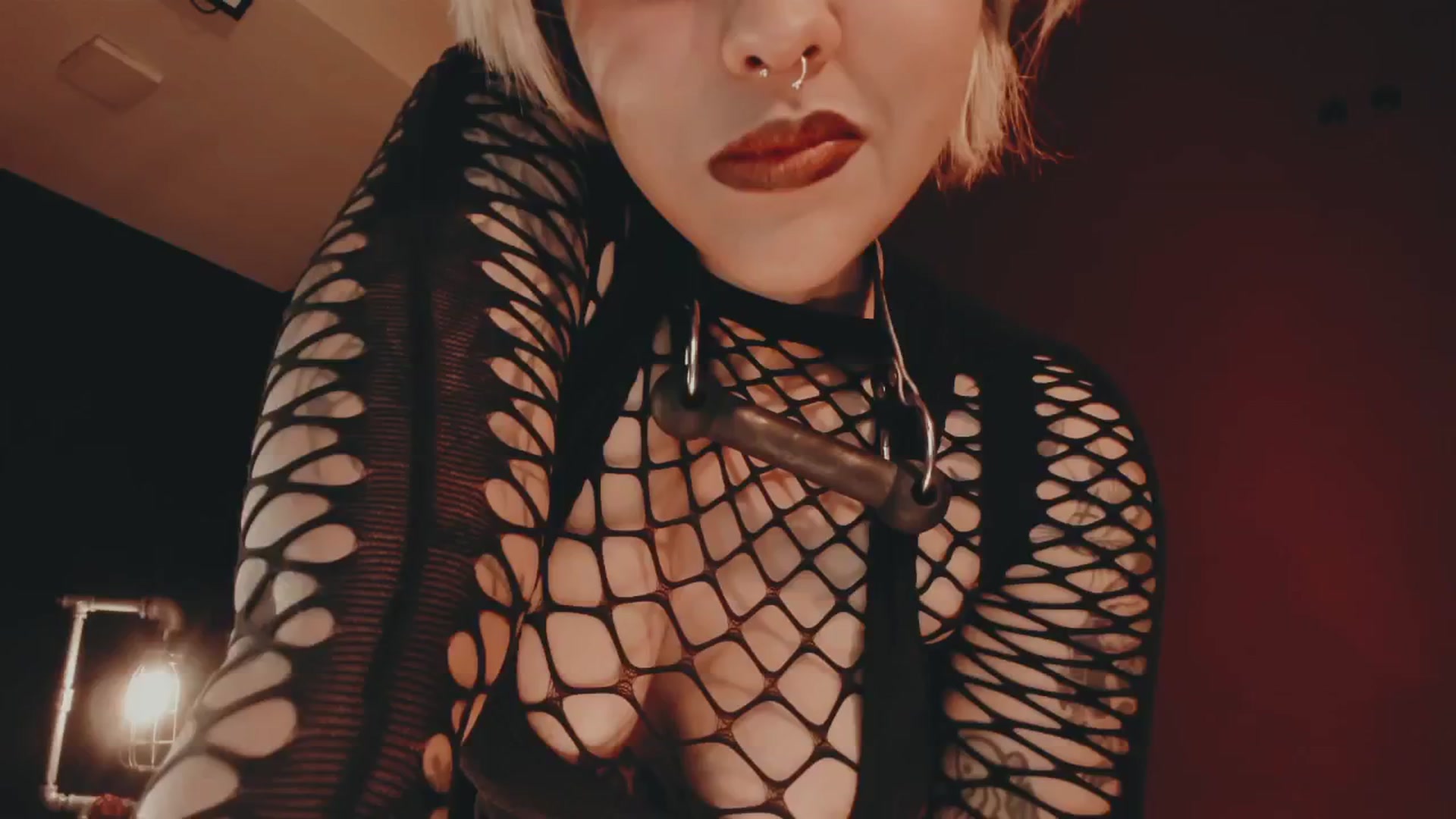 Gallery image thumbnail from AbraxxysRadio's myfreecams stream on, 11/13/2024, 23:52 image 20 of 20