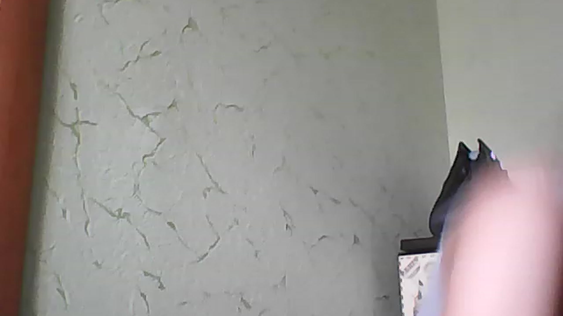 Gallery image thumbnail from AbyCross's myfreecams stream on, 06/30/2023, 08:44 image 3 of 20