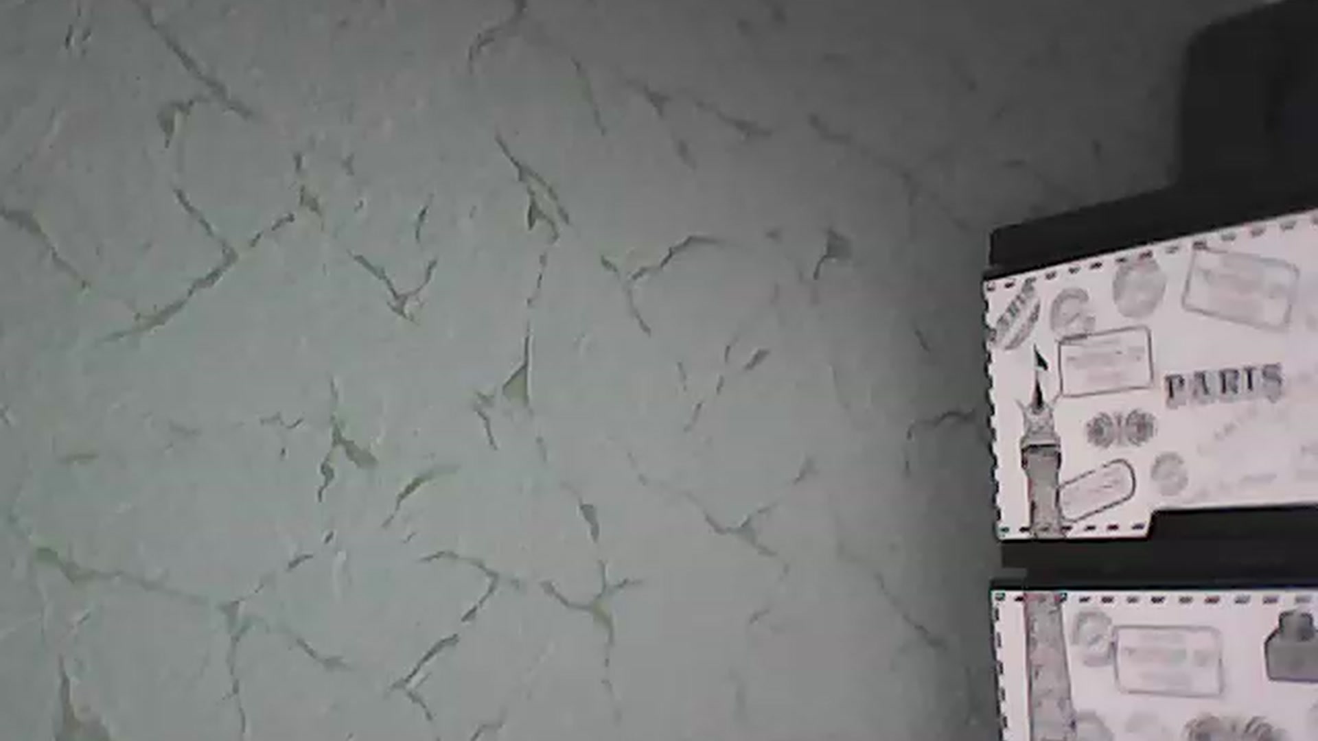 Gallery image thumbnail from AbyCross's myfreecams stream on, 07/03/2023, 11:09 image 11 of 20