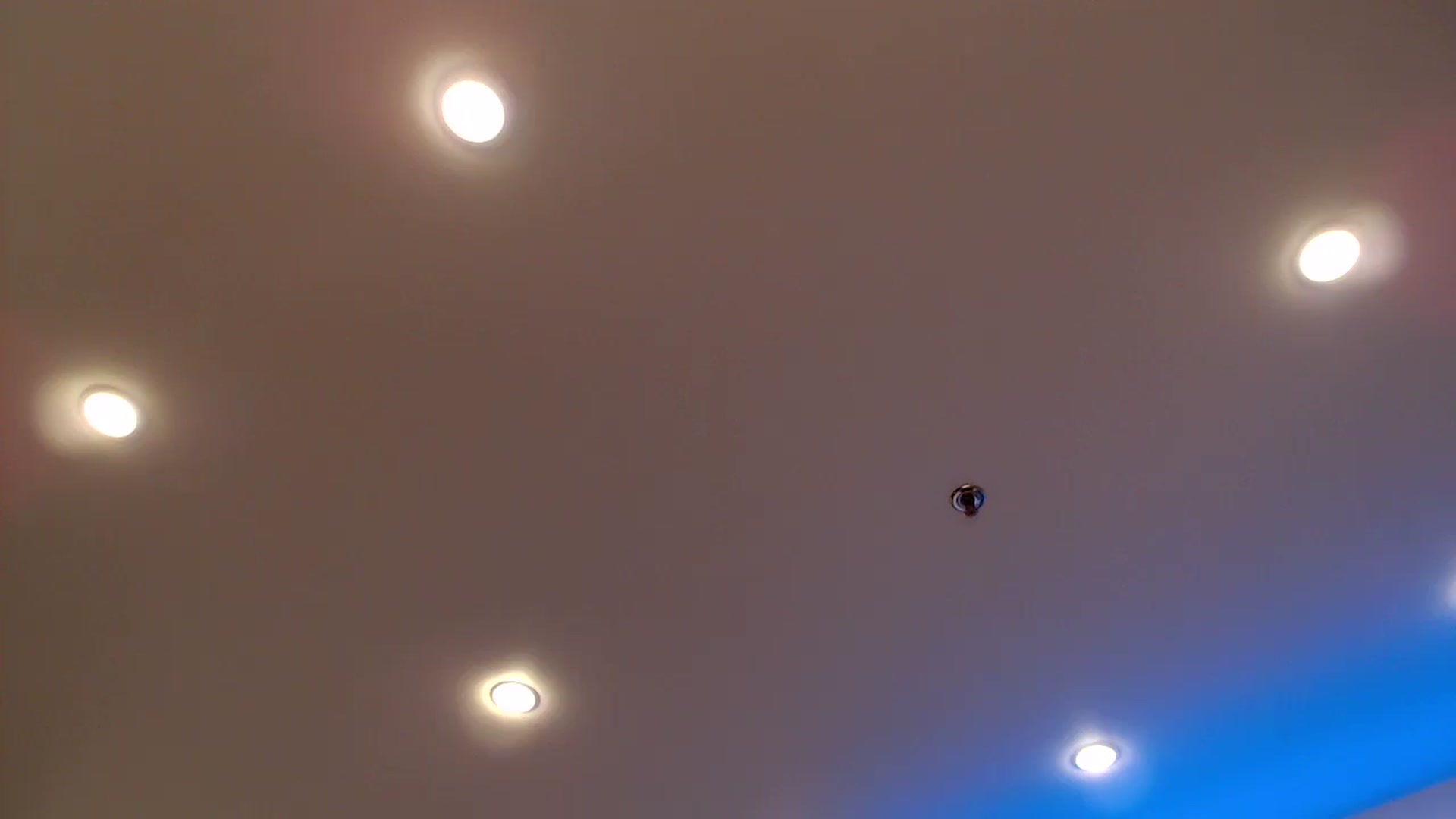Gallery image thumbnail from Aby_Frost's myfreecams stream on, 08/31/2025, 01:02 image 19 of 20
