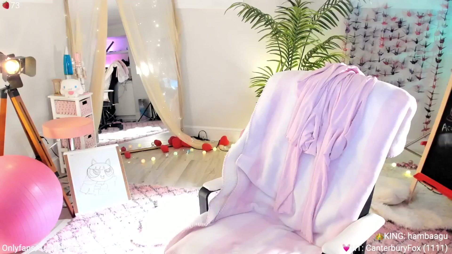 Gallery image thumbnail from AcaiBerry's myfreecams stream on, 04/17/2025, 06:42 image 11 of 20