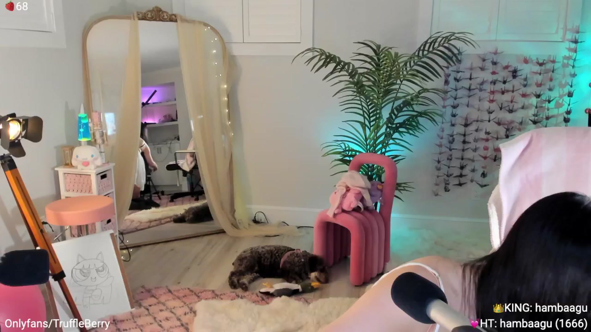 Gallery image thumbnail from AcaiBerry's myfreecams stream on, 05/22/2025, 05:56 image 17 of 20