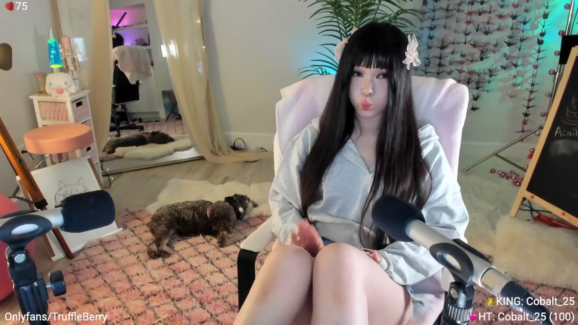 Gallery image thumbnail from AcaiBerry's myfreecams stream on, 05/24/2025, 07:08 image 5 of 20