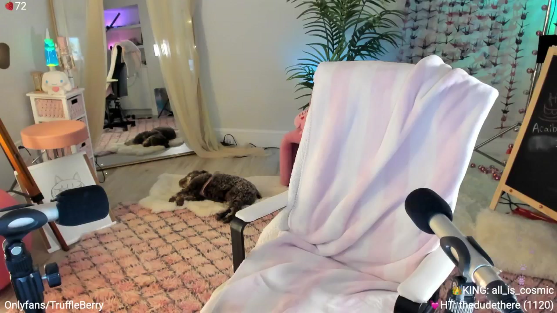 Gallery image thumbnail from AcaiBerry's myfreecams stream on, 05/24/2025, 07:08 image 10 of 20