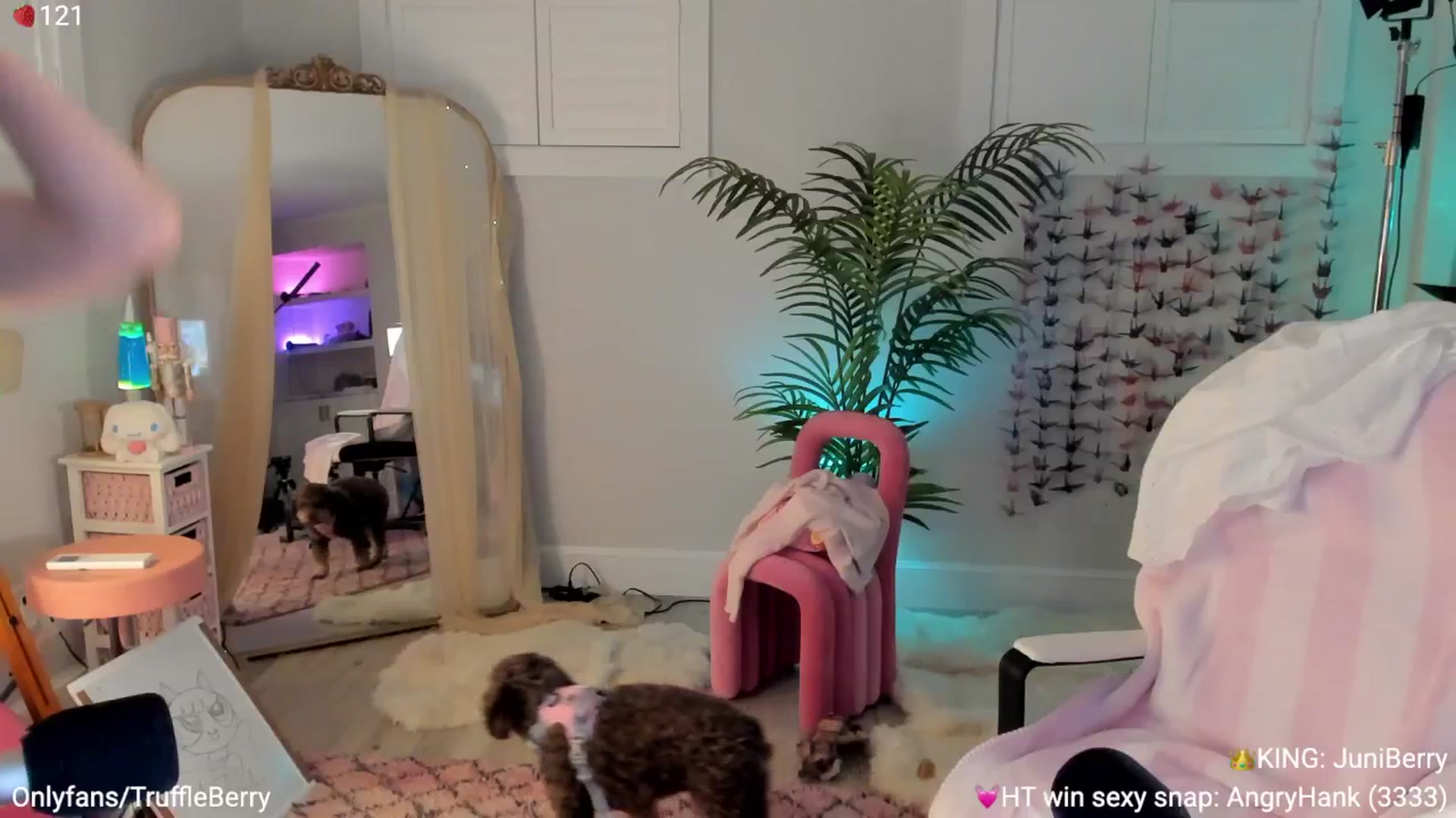 Gallery image thumbnail from AcaiBerry's myfreecams stream on, 07/05/2025, 07:18 image 15 of 20