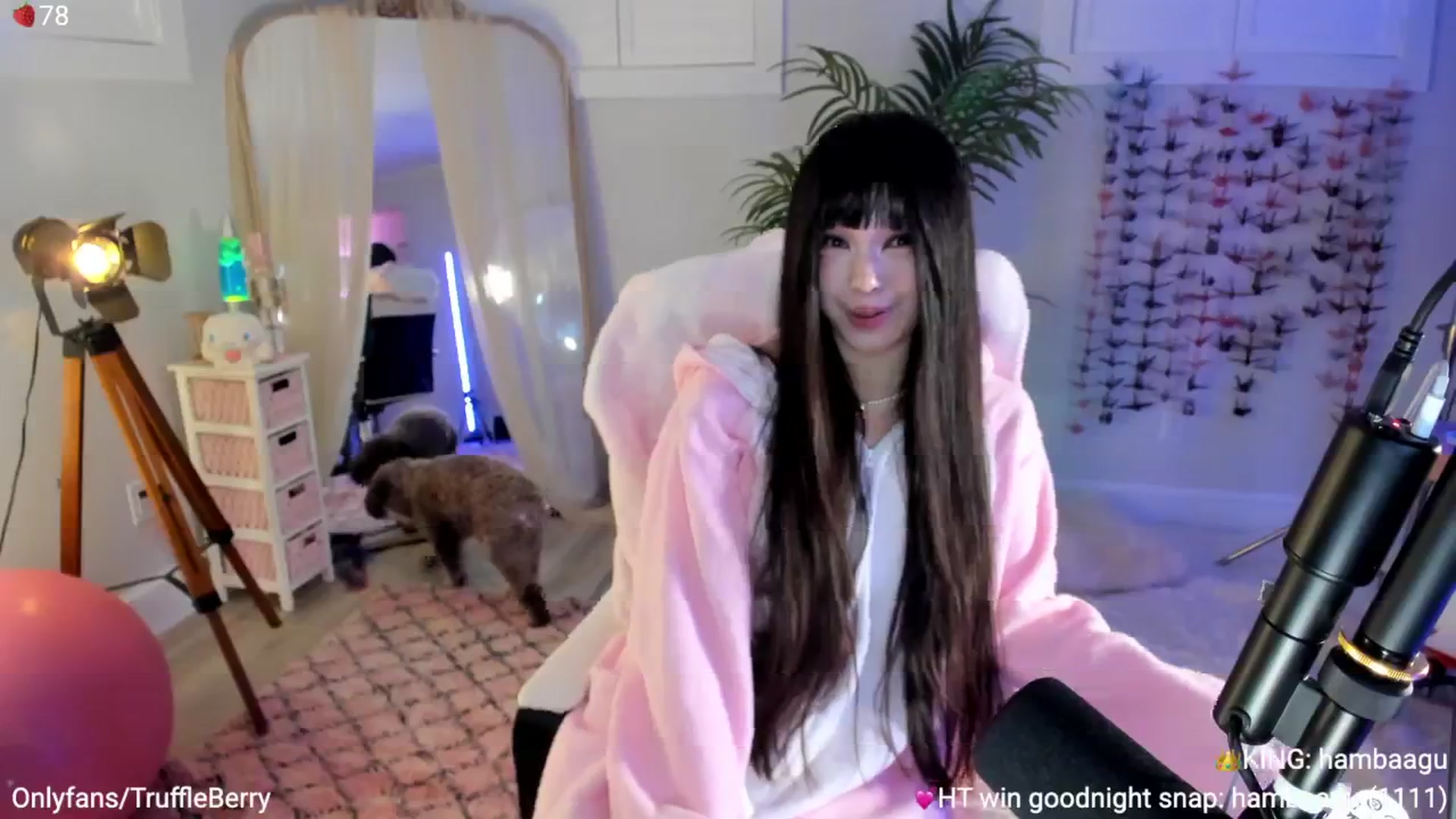 Gallery image thumbnail from AcaiBerry's myfreecams stream on, 09/25/2025, 04:51 image 15 of 20