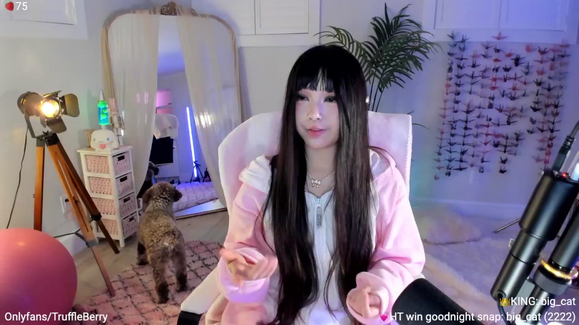 Gallery image thumbnail from AcaiBerry's myfreecams stream on, 09/25/2025, 05:23 image 10 of 20