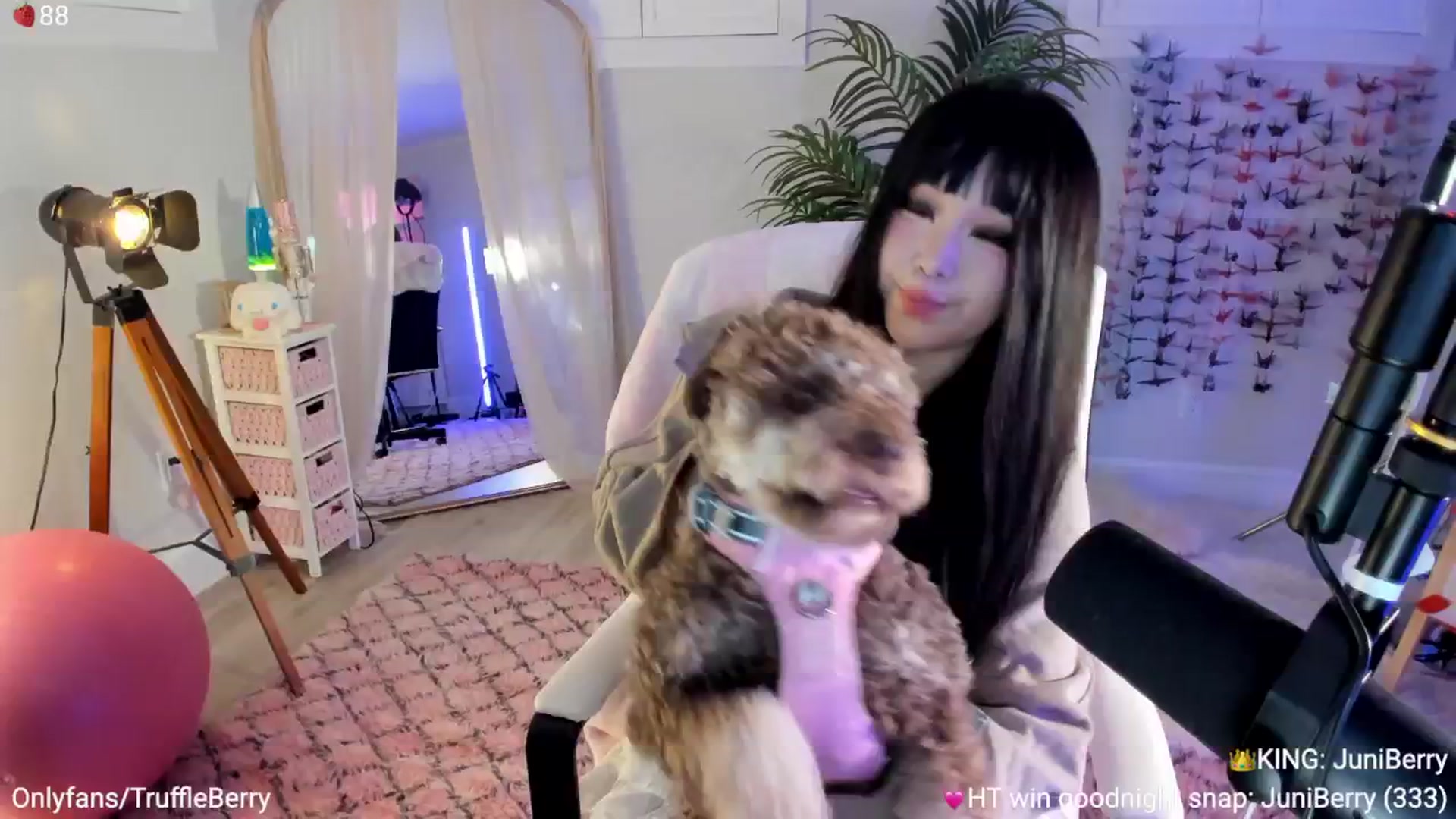 Gallery image thumbnail from AcaiBerry's myfreecams stream on, 09/27/2025, 04:05 image 13 of 20