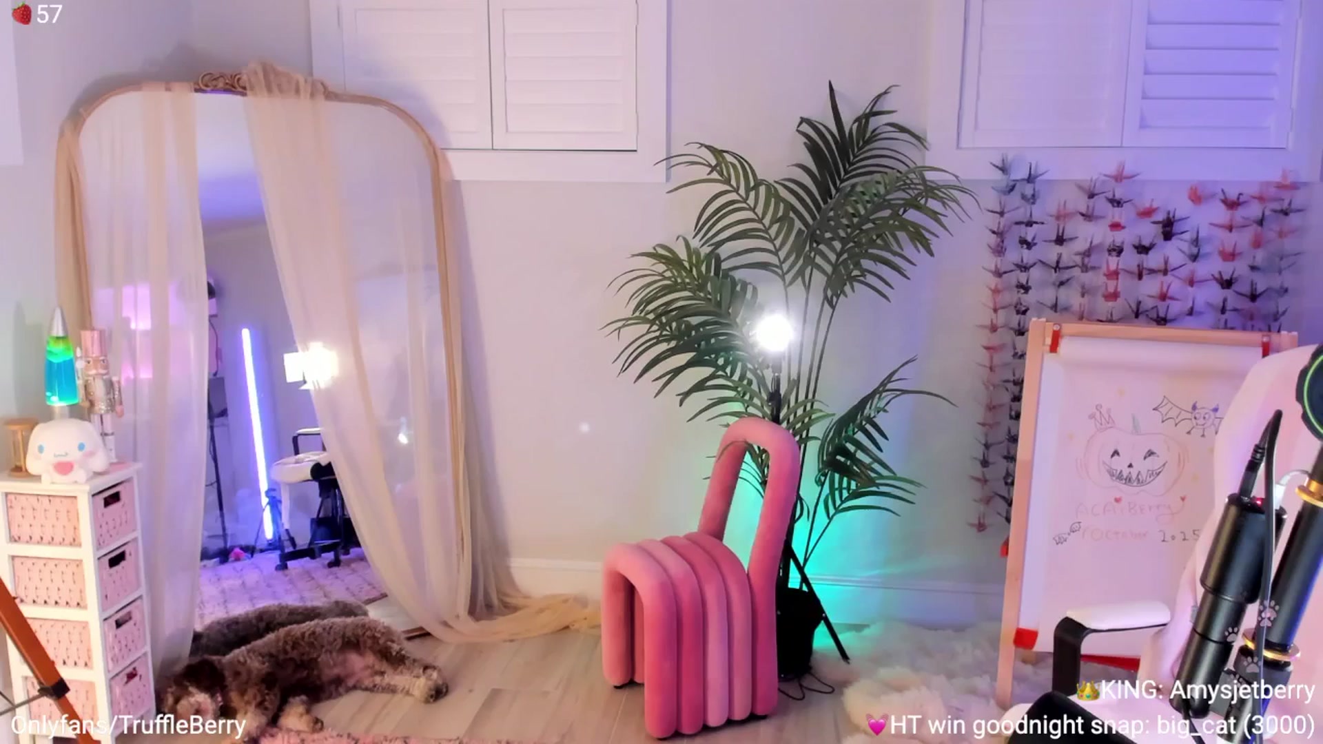 Gallery image thumbnail from AcaiBerry's myfreecams stream on, 10/12/2025, 06:14 image 11 of 20