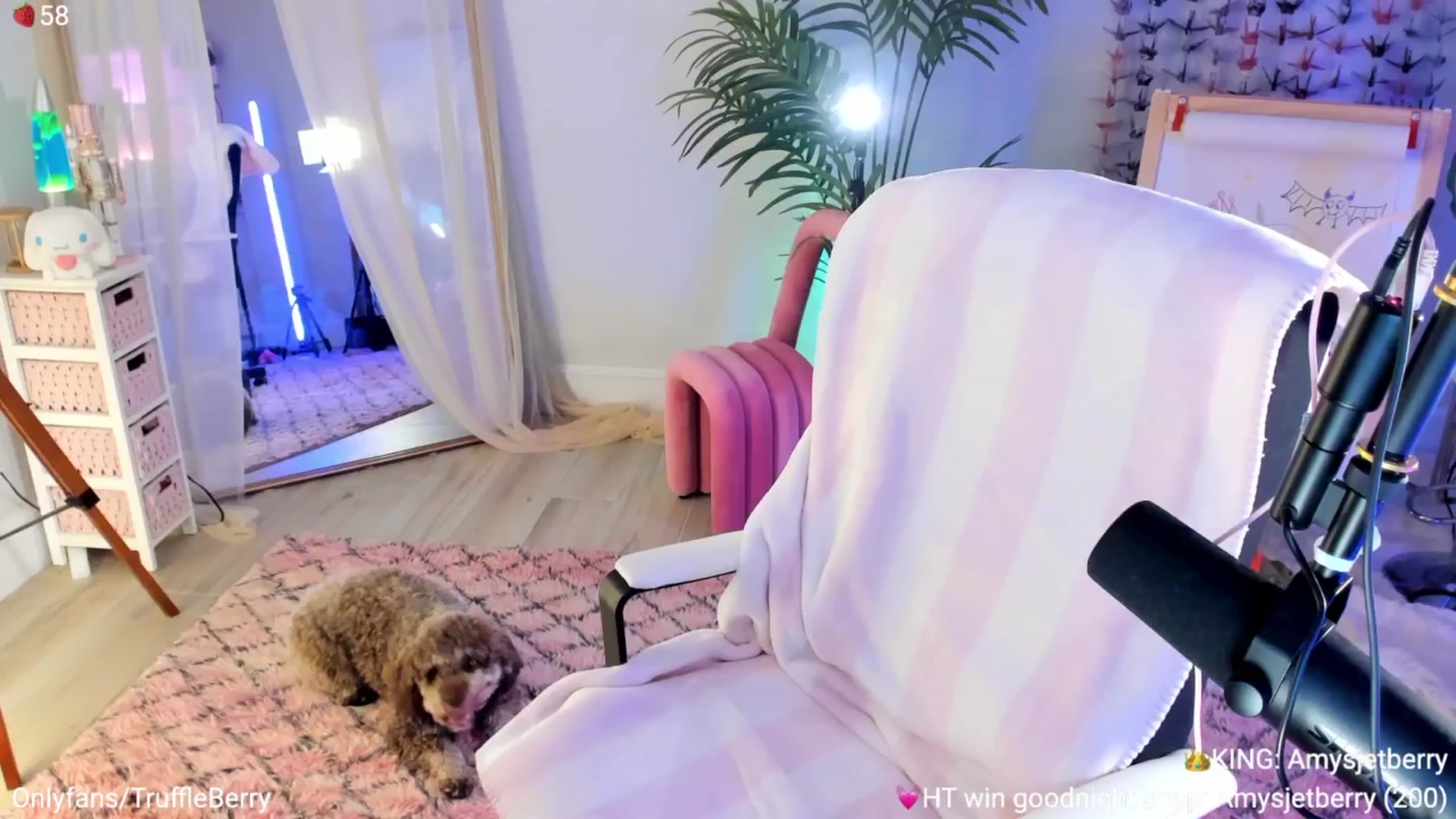 Gallery image thumbnail from AcaiBerry's myfreecams stream on, 10/12/2025, 06:14 image 3 of 20