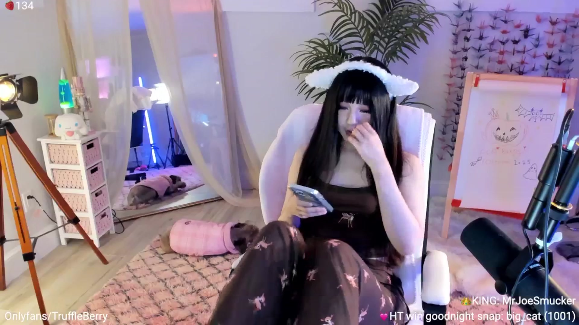 Gallery image thumbnail from AcaiBerry's myfreecams stream on, 11/02/2025, 05:44 image 18 of 20
