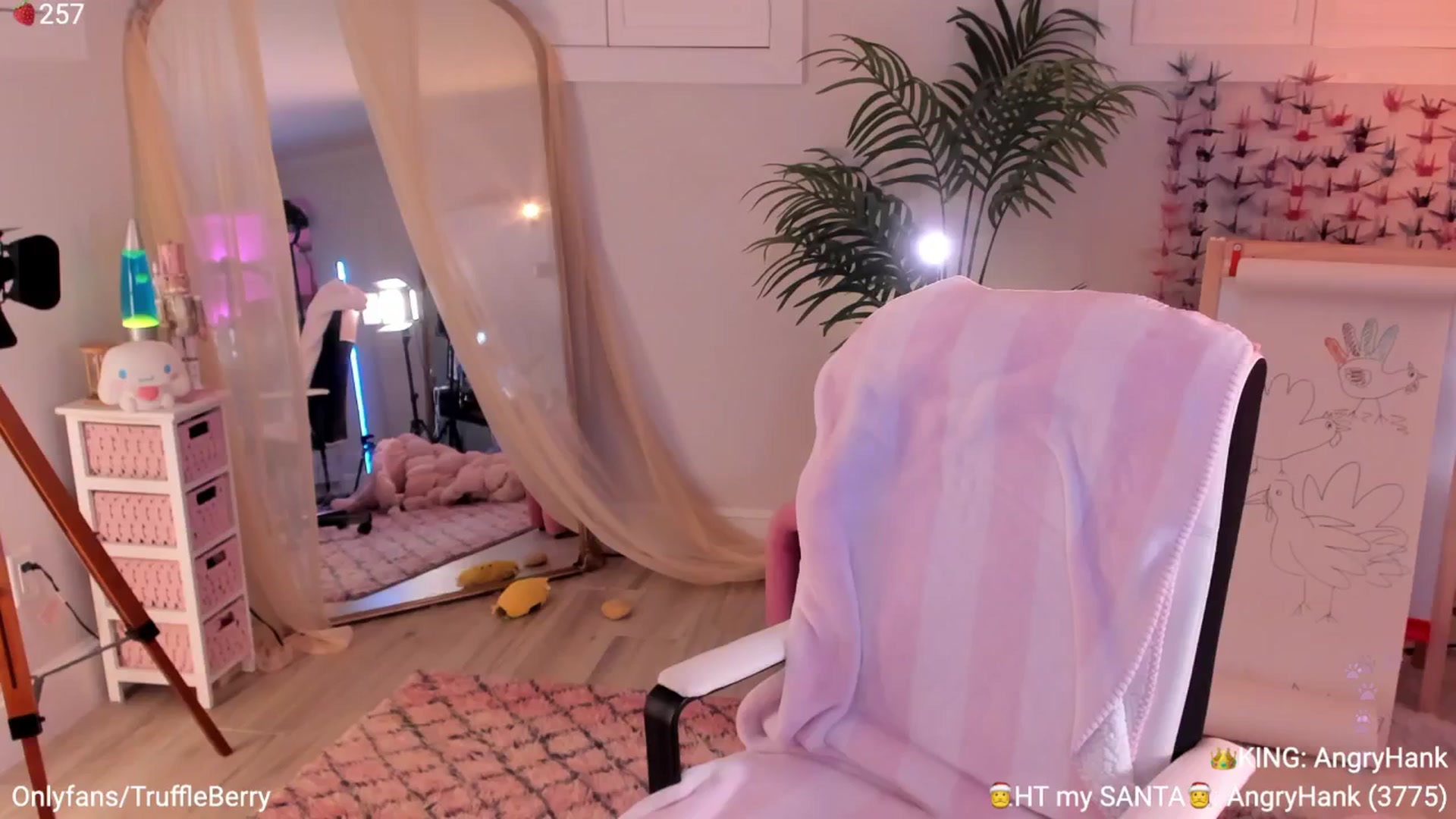 Gallery image thumbnail from AcaiBerry's myfreecams stream on, 12/28/2025, 06:47 image 11 of 20