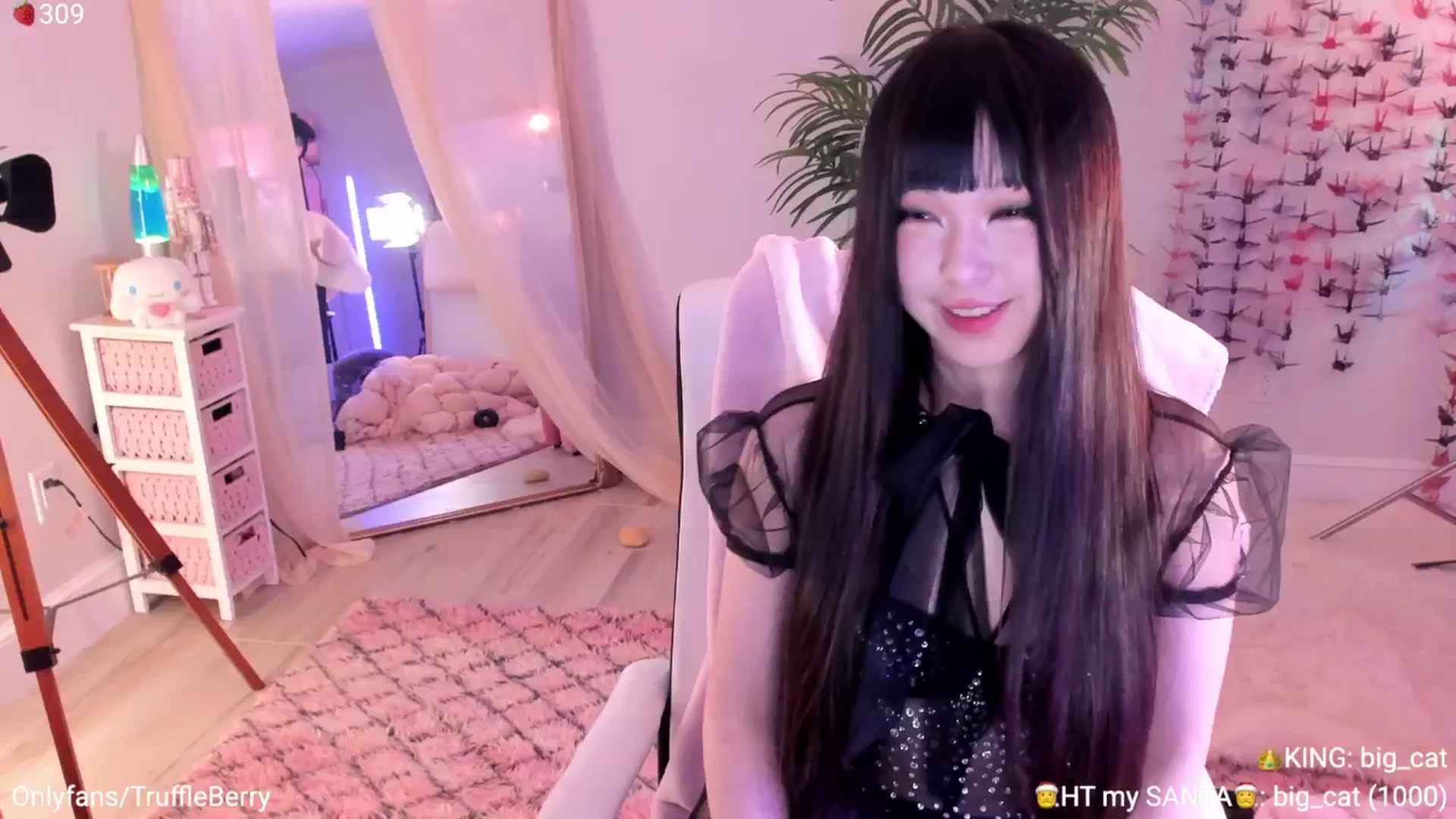 Gallery image thumbnail from AcaiBerry's myfreecams stream on, 01/01/2026, 08:50 image 1 of 20