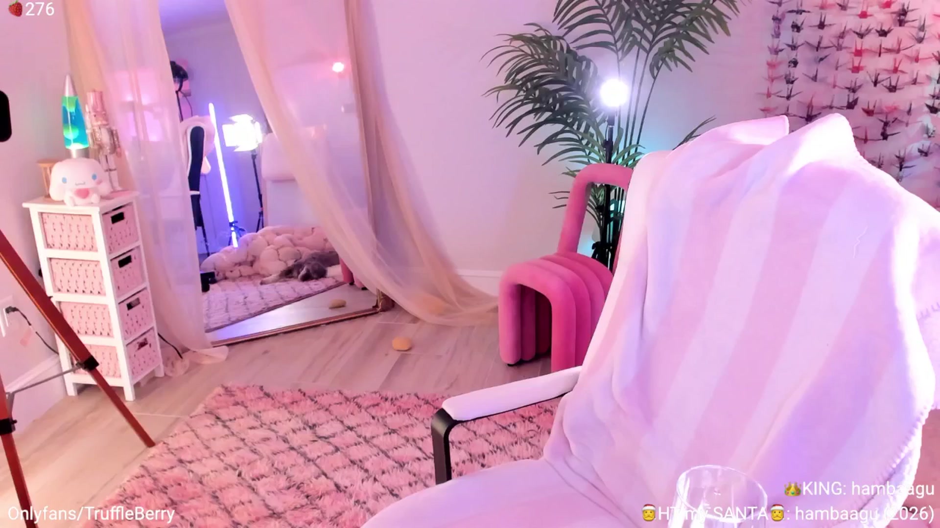Gallery image thumbnail from AcaiBerry's myfreecams stream on, 01/01/2026, 08:50 image 13 of 20