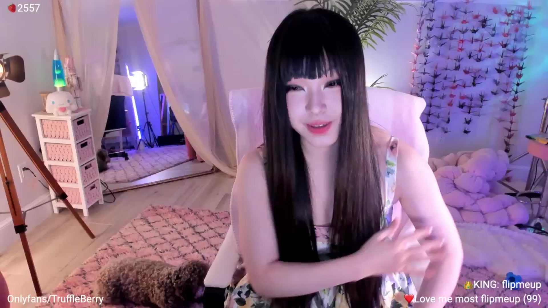 Gallery image thumbnail from AcaiBerry's myfreecams stream on, 02/05/2026, 06:33 image 2 of 20
