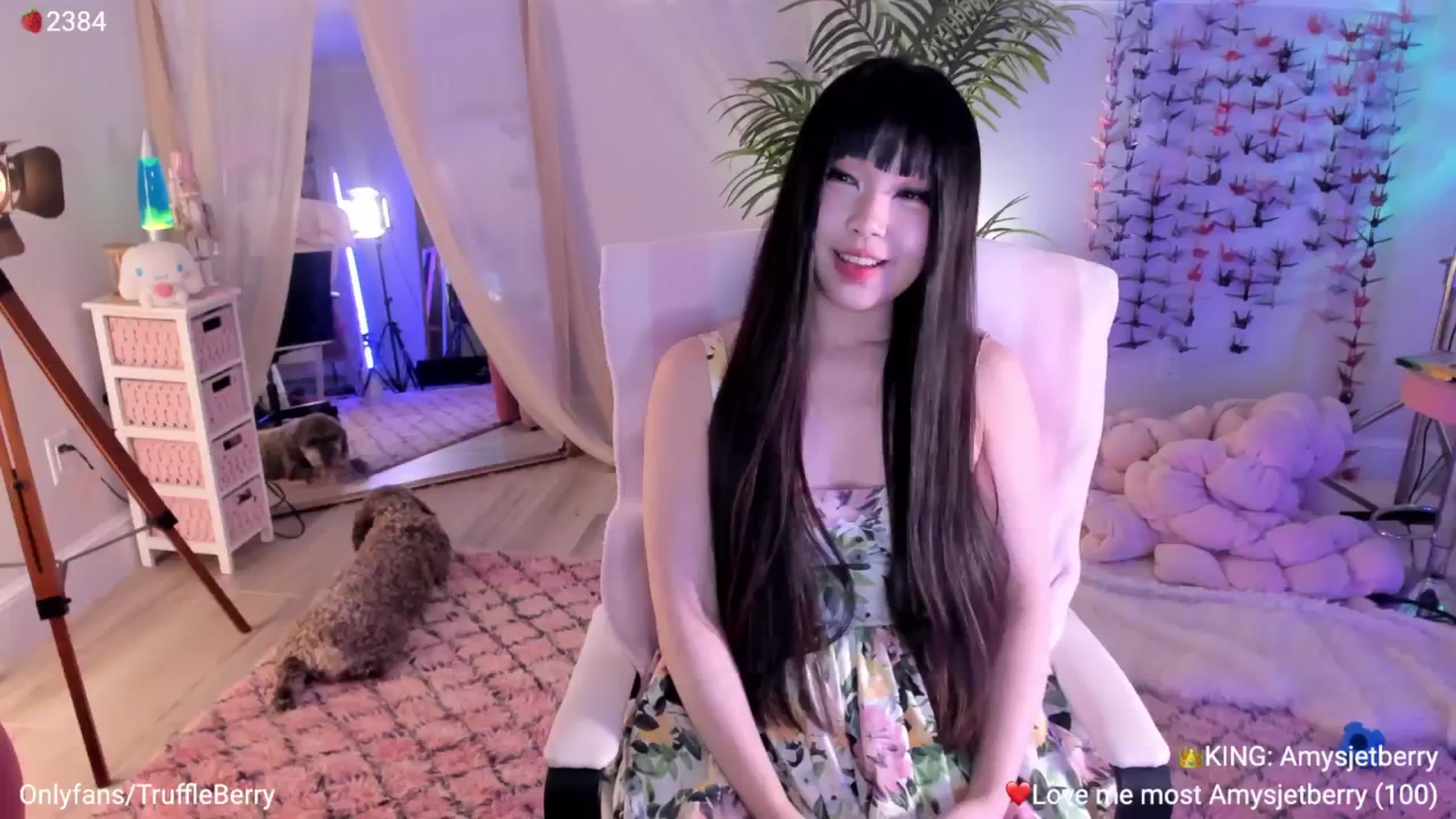 Gallery image thumbnail from AcaiBerry's myfreecams stream on, 02/05/2026, 06:33 image 4 of 20
