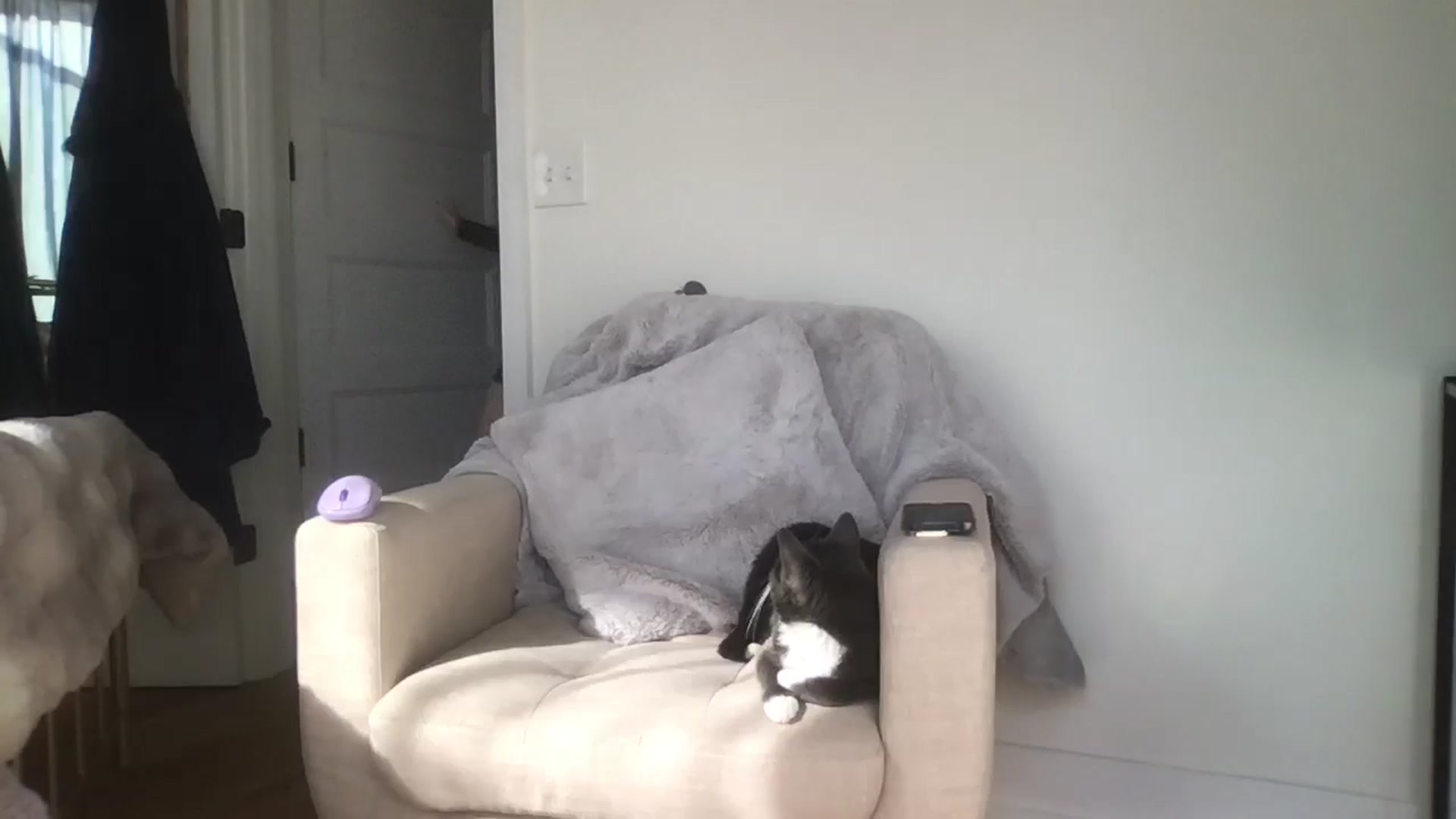 Gallery image thumbnail from Adalinaaaaa's myfreecams stream on, 10/31/2024, 16:22 image 4 of 20
