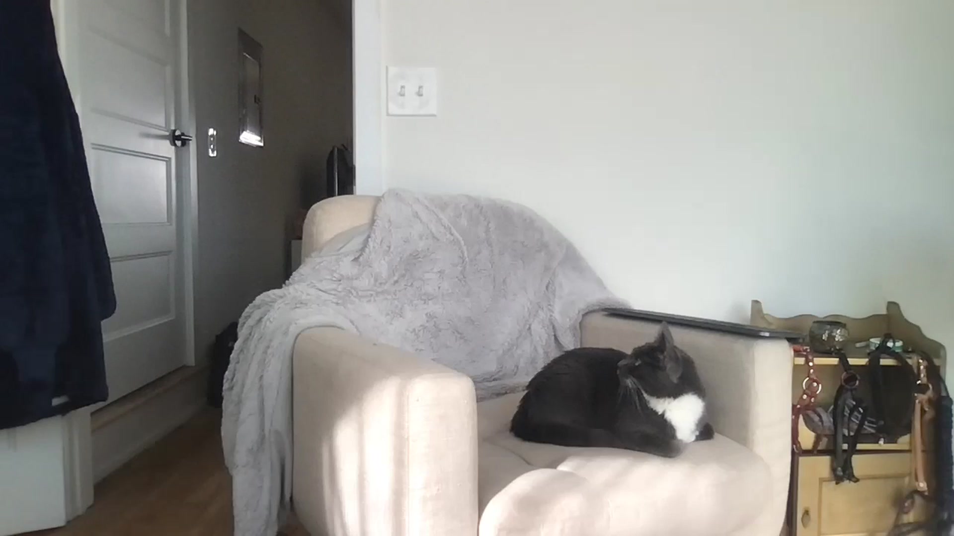 Gallery image thumbnail from Adalinaaaaa's myfreecams stream on, 11/08/2024, 17:39 image 11 of 20