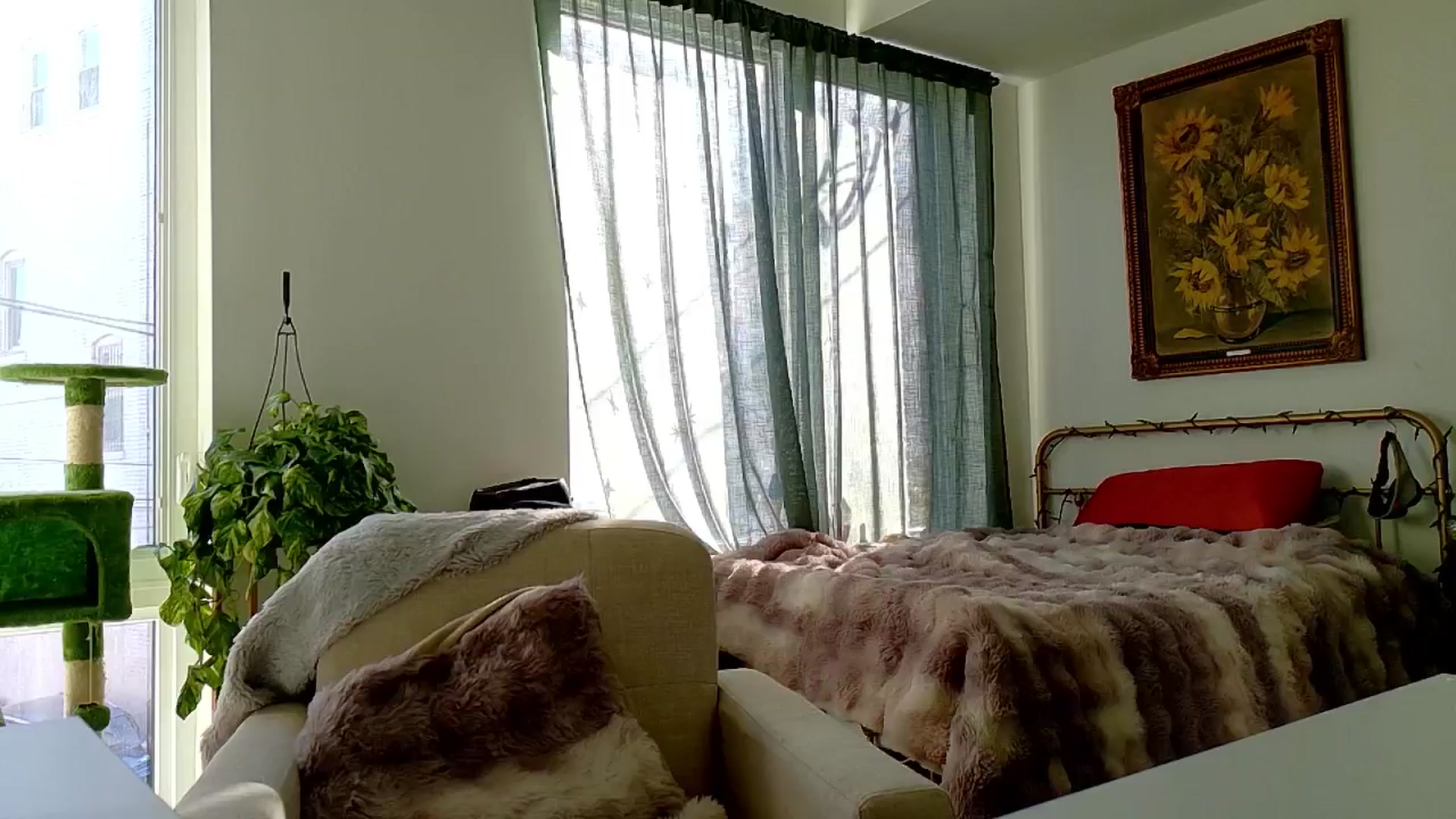 Gallery image thumbnail from Adalinaaaaa's myfreecams stream on, 11/16/2024, 19:02 image 5 of 20