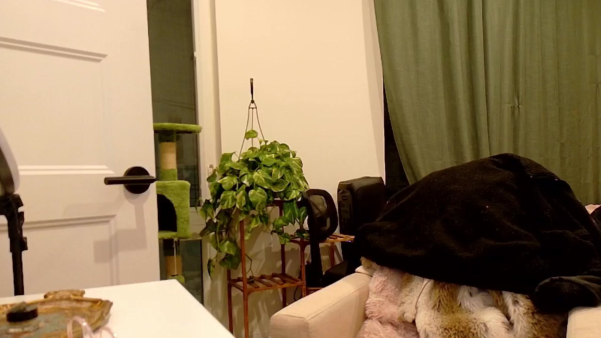 Gallery image thumbnail from Adalinaaaaa's myfreecams stream on, 11/18/2024, 22:42 image 17 of 20