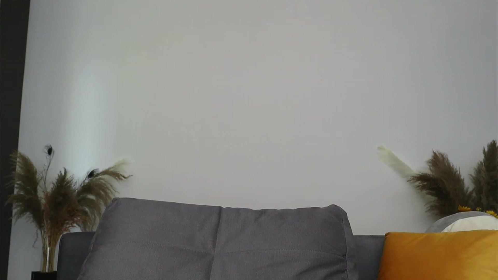 Gallery image thumbnail from Adallinee's myfreecams stream on, 04/03/2023, 14:23 image 17 of 20