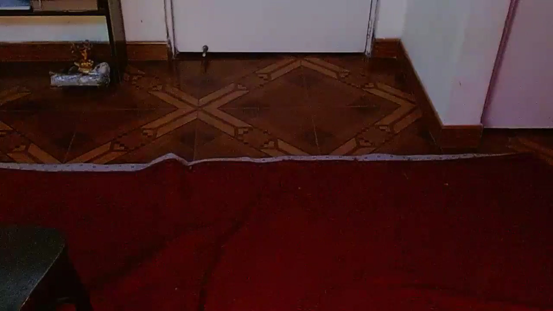 Gallery image thumbnail from Adas_room's myfreecams stream on, 12/26/2024, 09:26 image 3 of 20