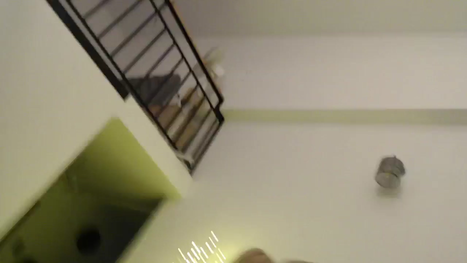 Gallery image thumbnail from Addasweet23's myfreecams stream on, 02/14/2025, 14:37 image 17 of 20