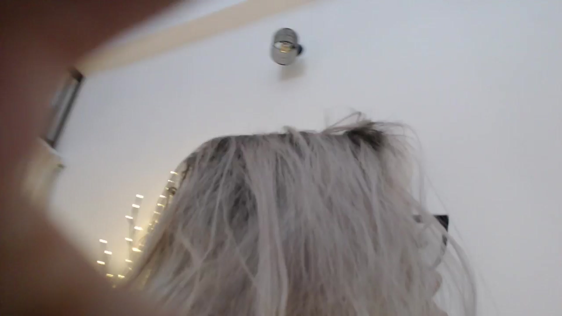 Gallery image thumbnail from Addasweet23's myfreecams stream on, 06/10/2025, 12:20 image 15 of 20