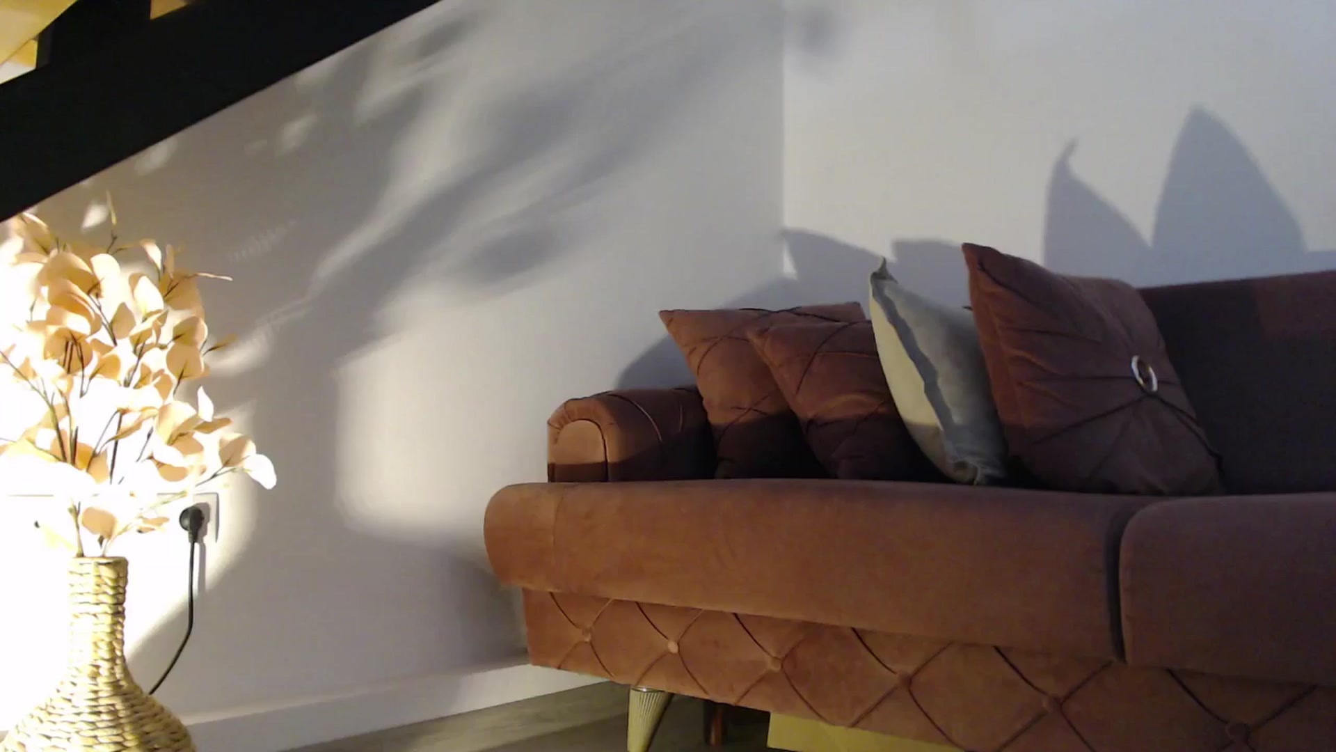 Gallery image thumbnail from Addasweet23's myfreecams stream on, 07/26/2025, 11:44 image 4 of 20