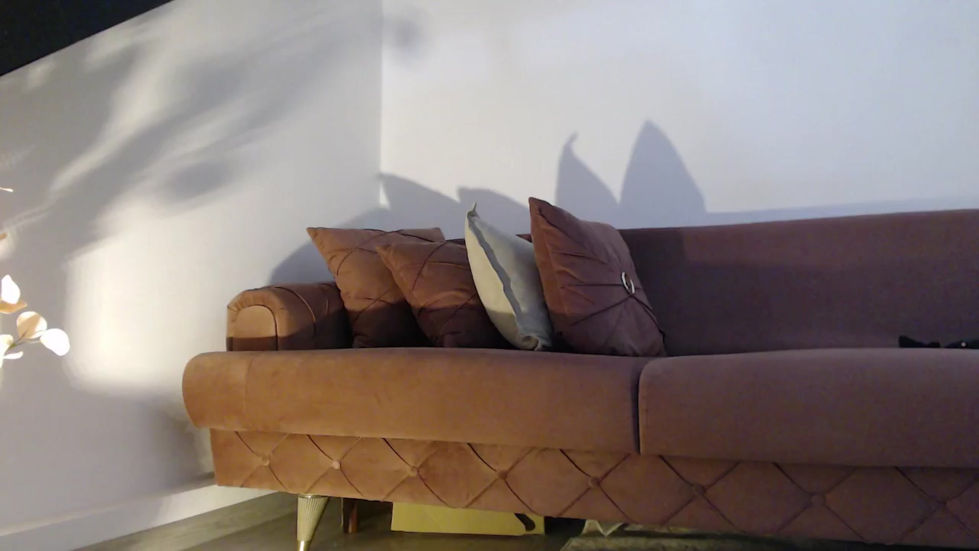 Gallery image thumbnail from Addasweet23's myfreecams stream on, 07/26/2025, 13:05 image 14 of 20