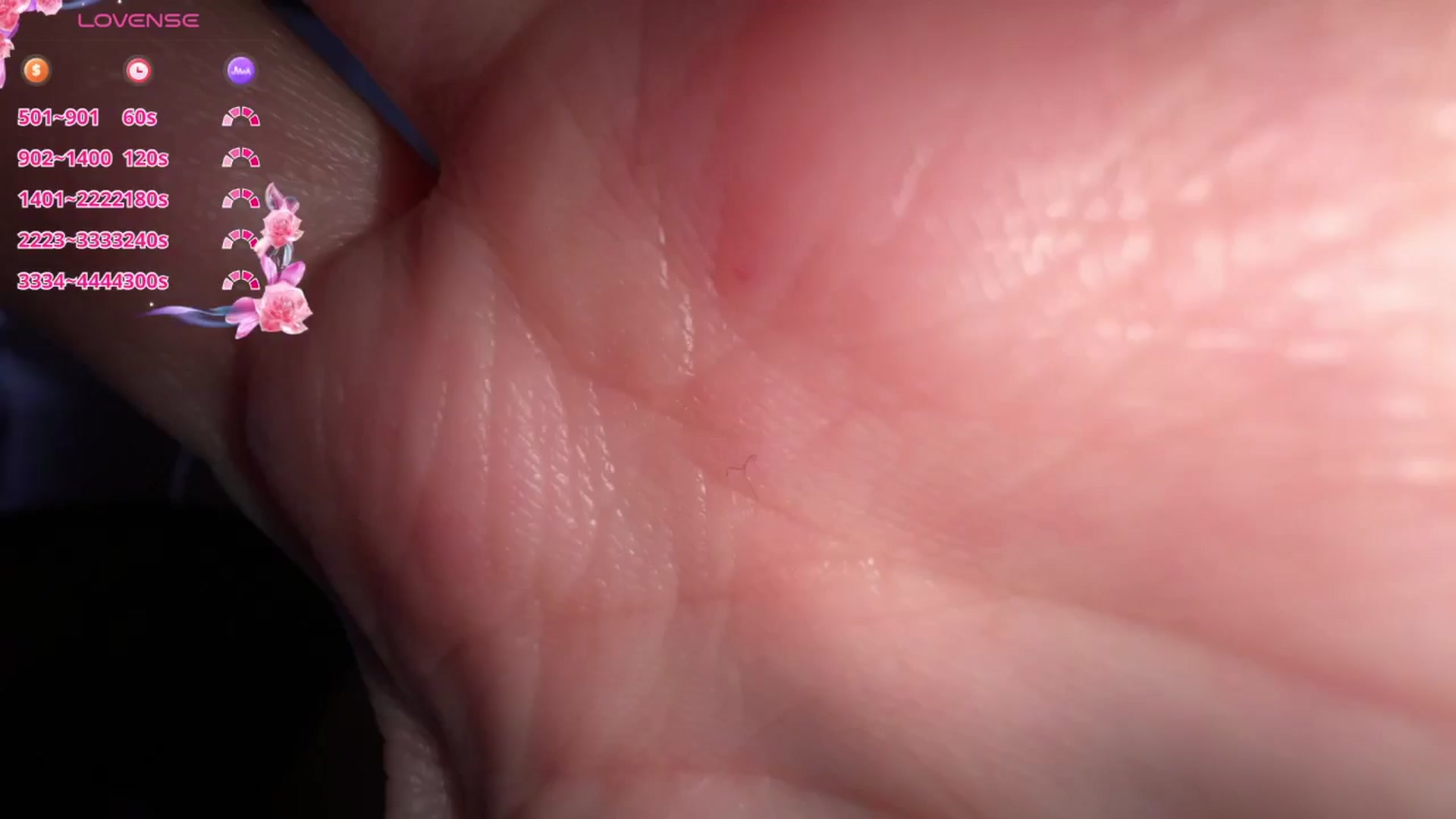 Gallery image thumbnail from Addasweet23's myfreecams stream on, 02/06/2026, 17:05 image 19 of 20